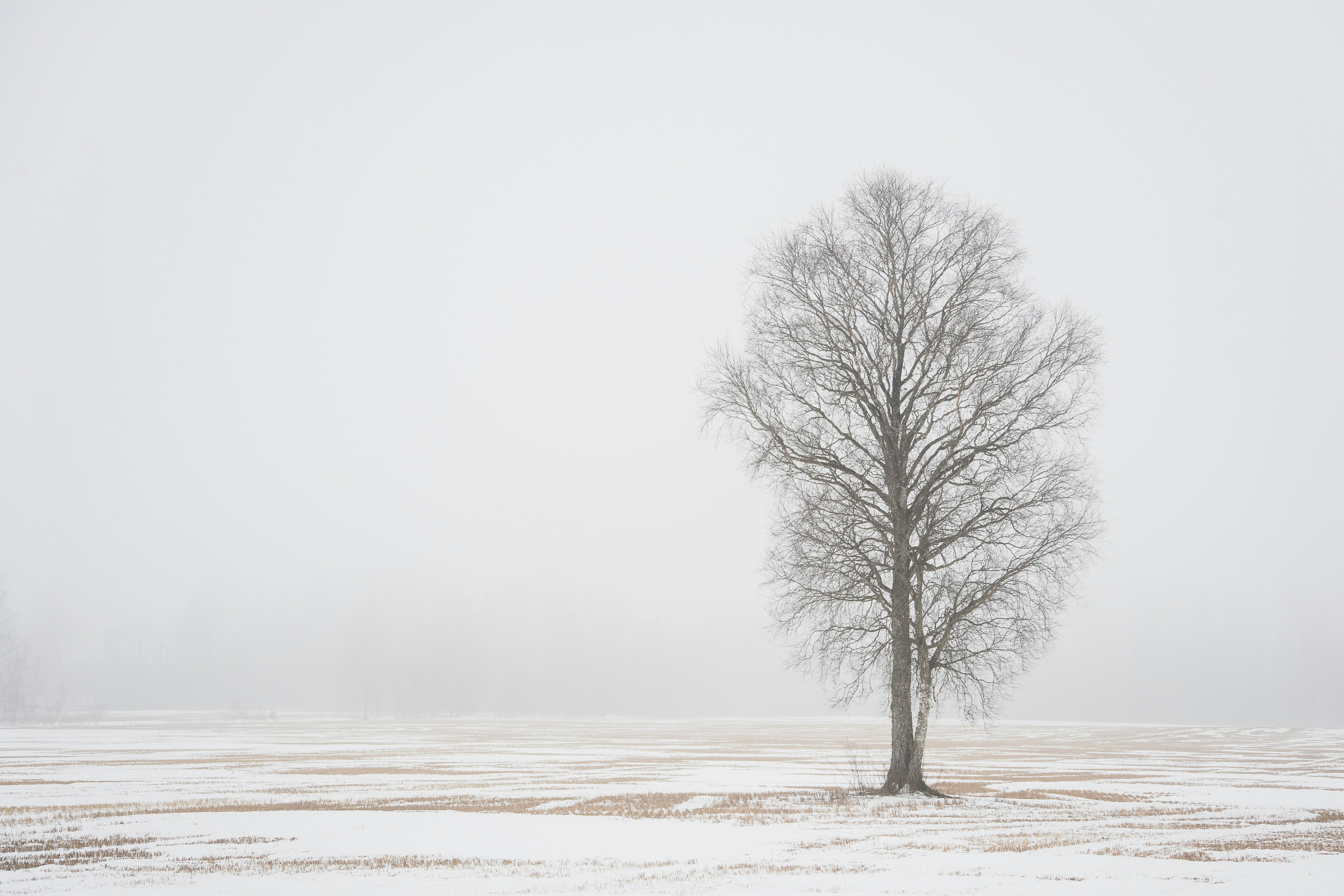 Photo by andruslukas