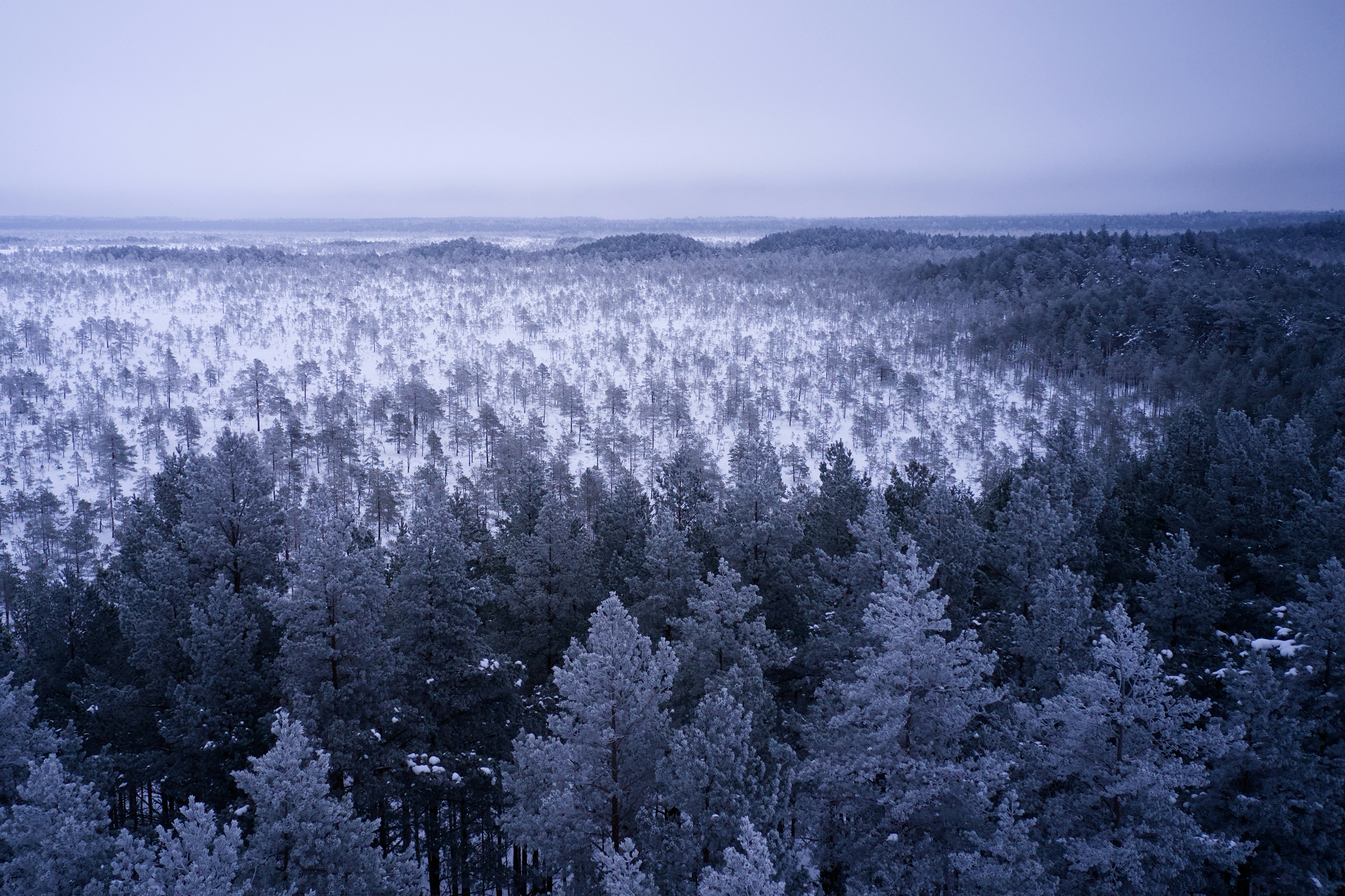 Photo by andruslukas