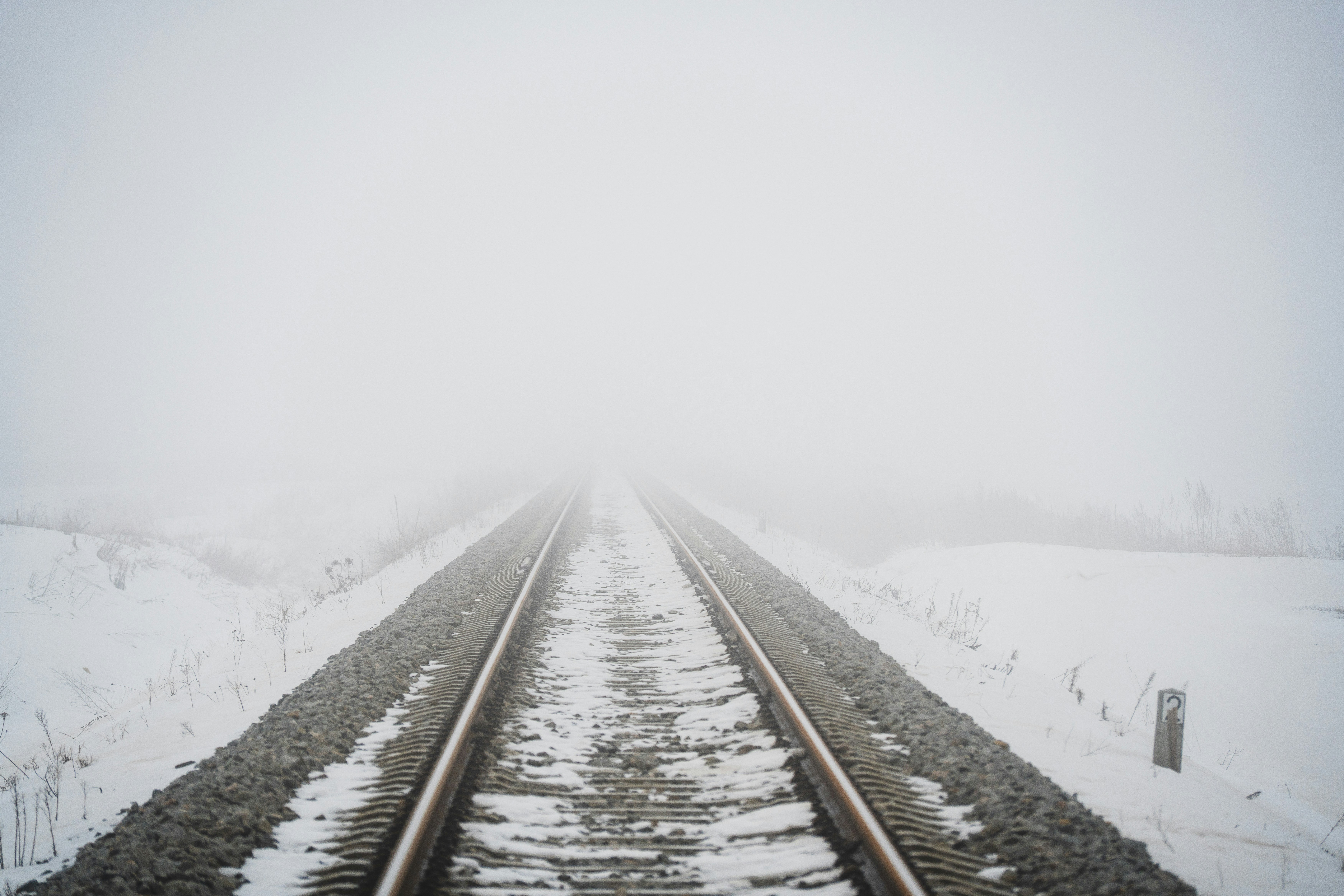 Photo by andruslukas