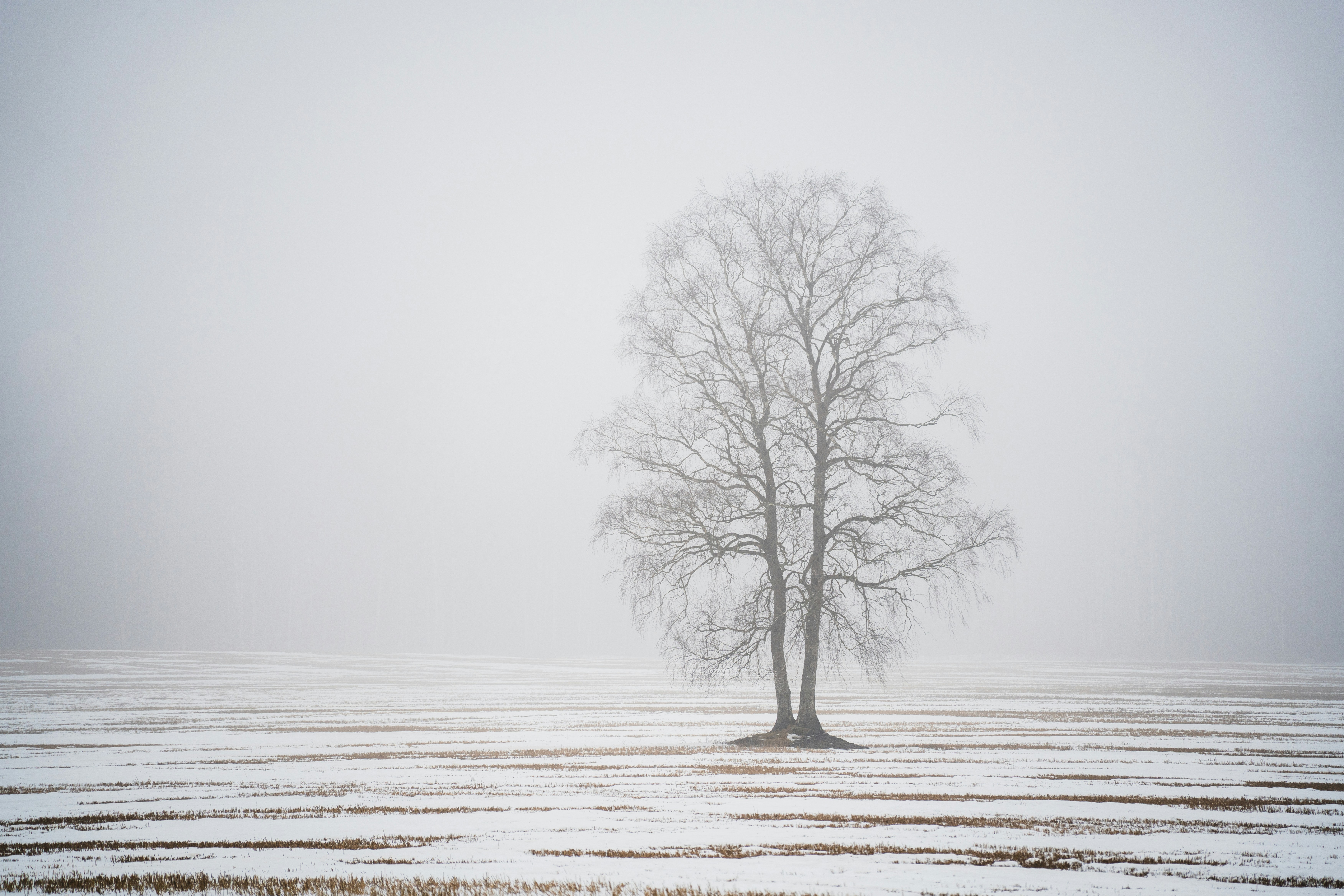 Photo by andruslukas