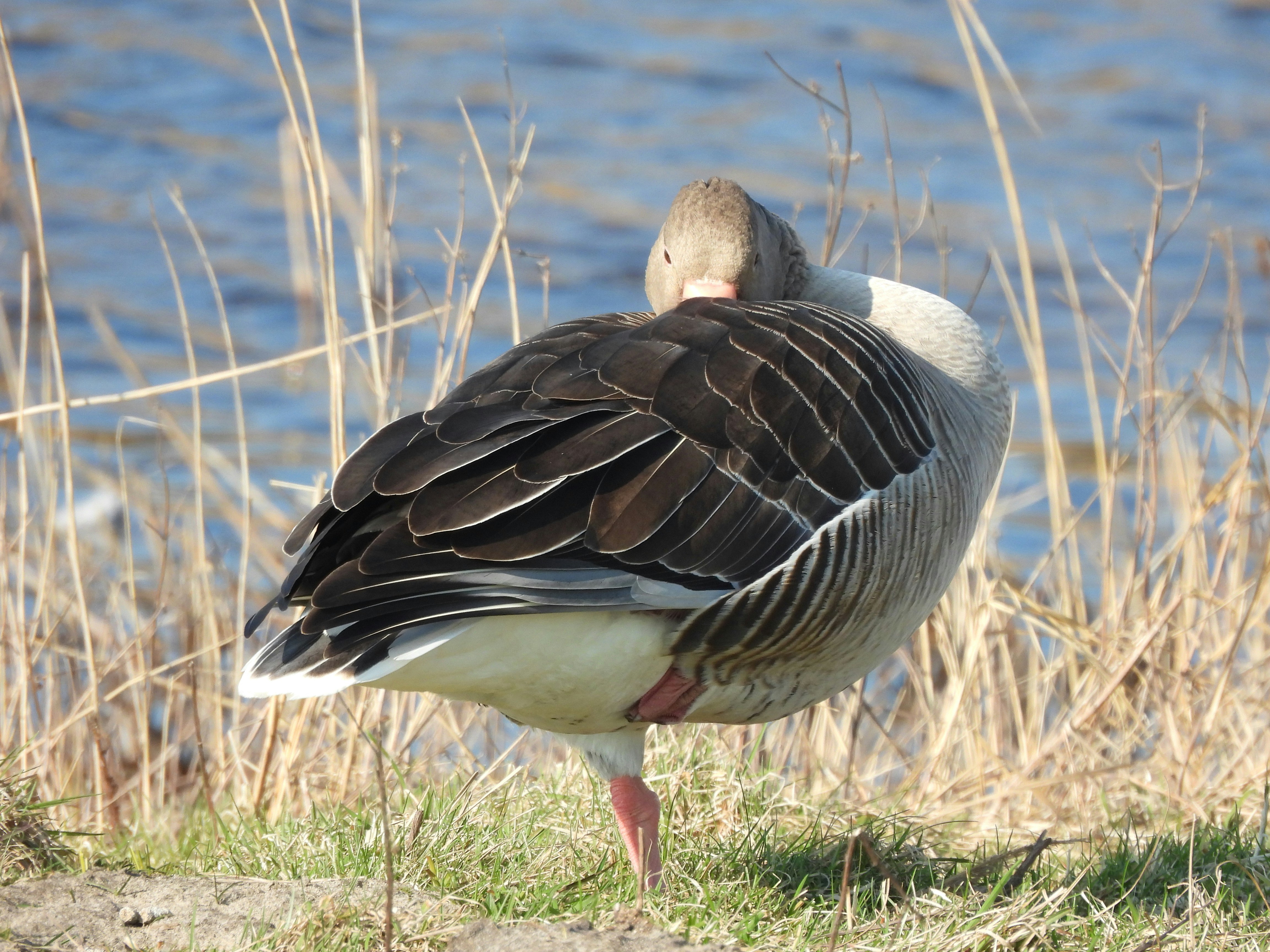 Photo by kaartjeruig
