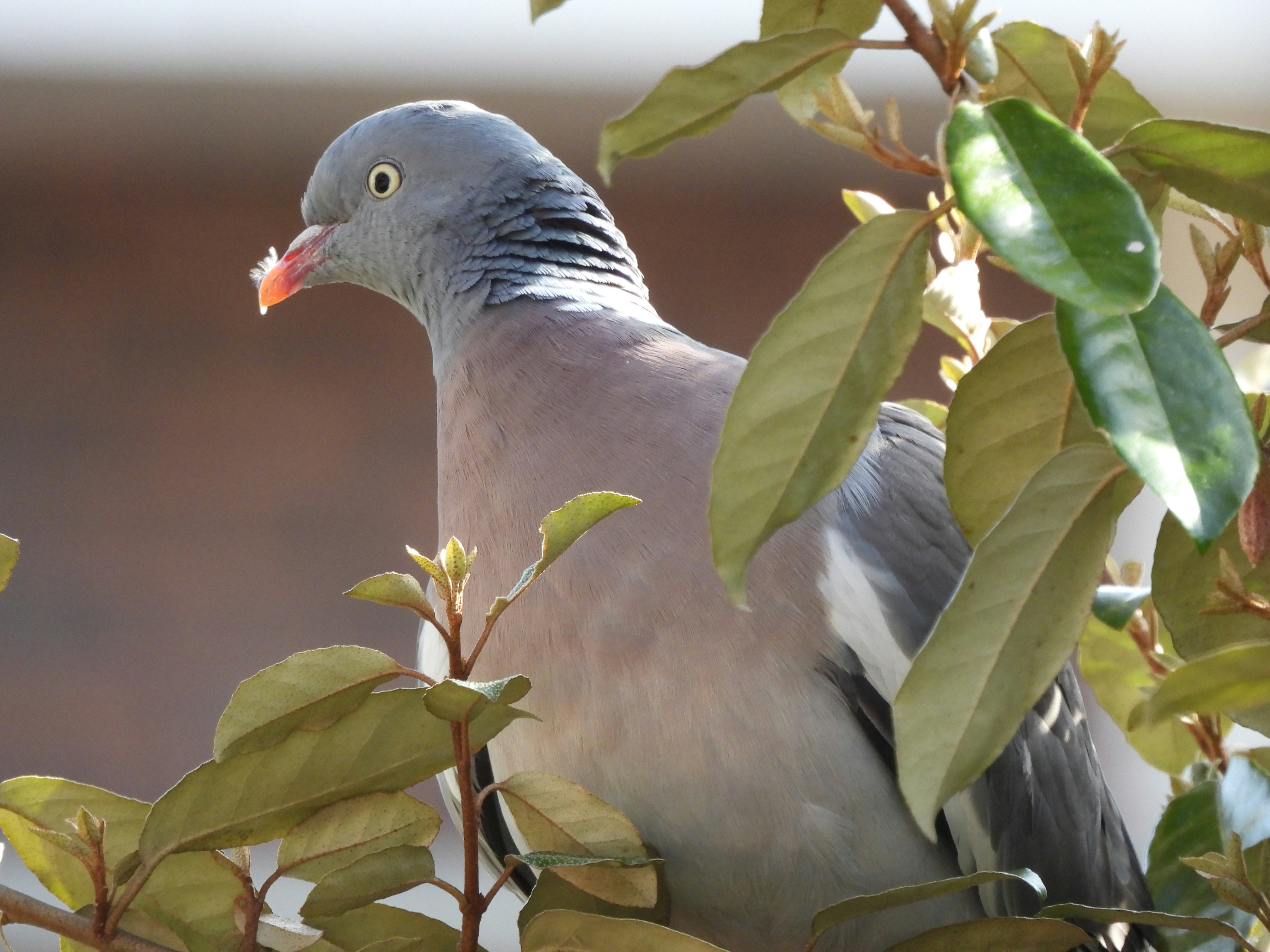 Photo by kaartjeruig