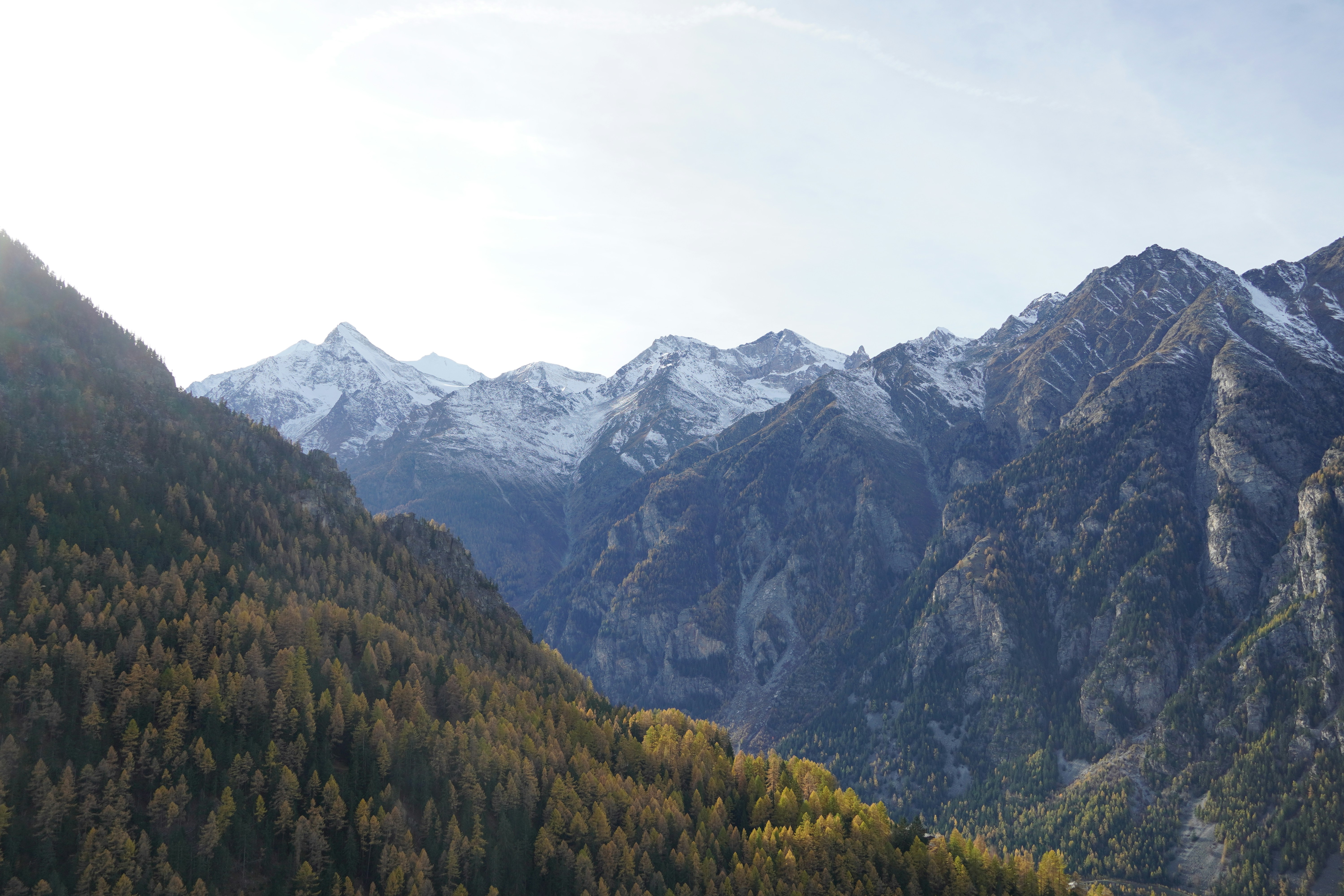 Photo by manuelfroehlich