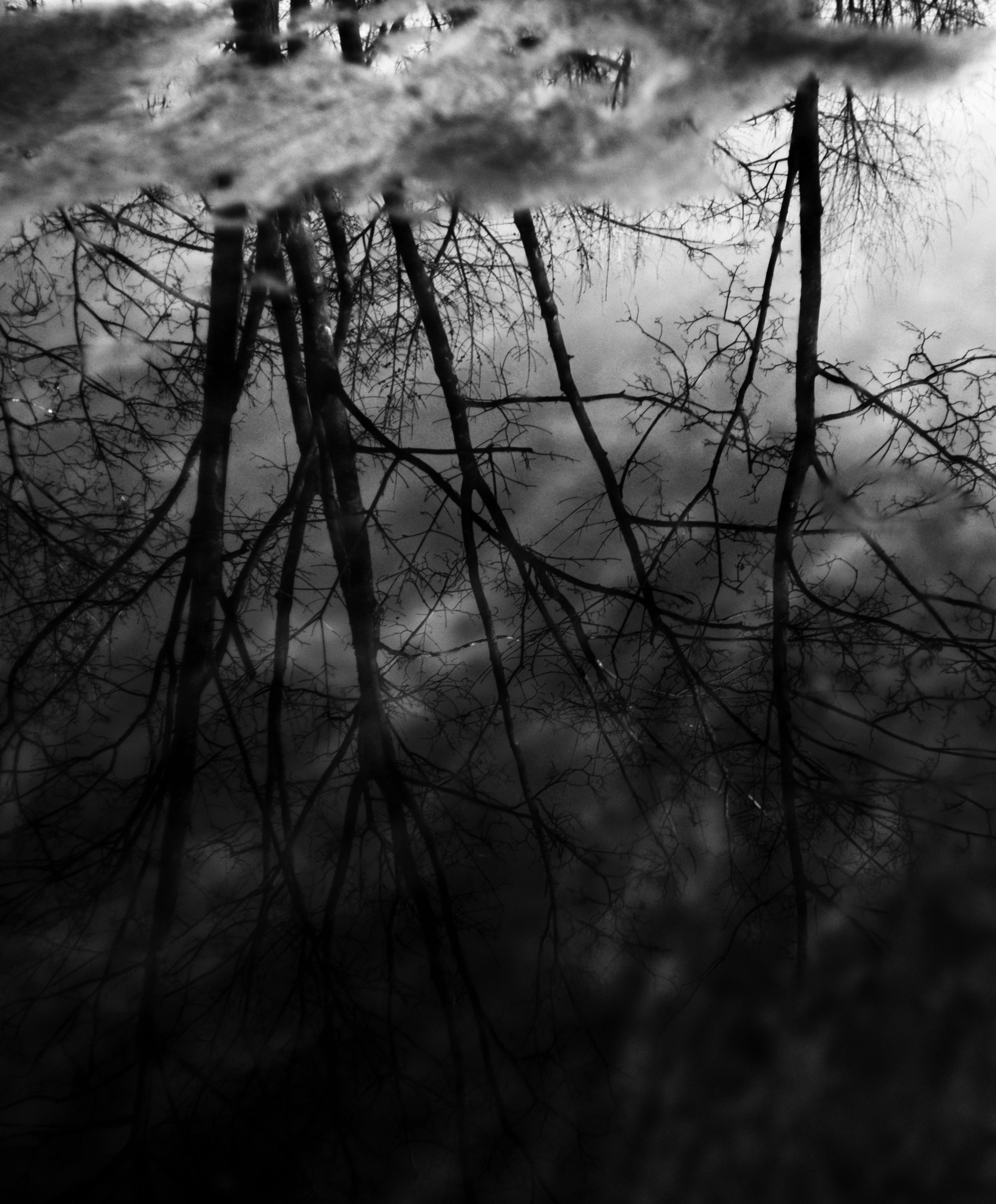 Photo by cherstve_pechivo