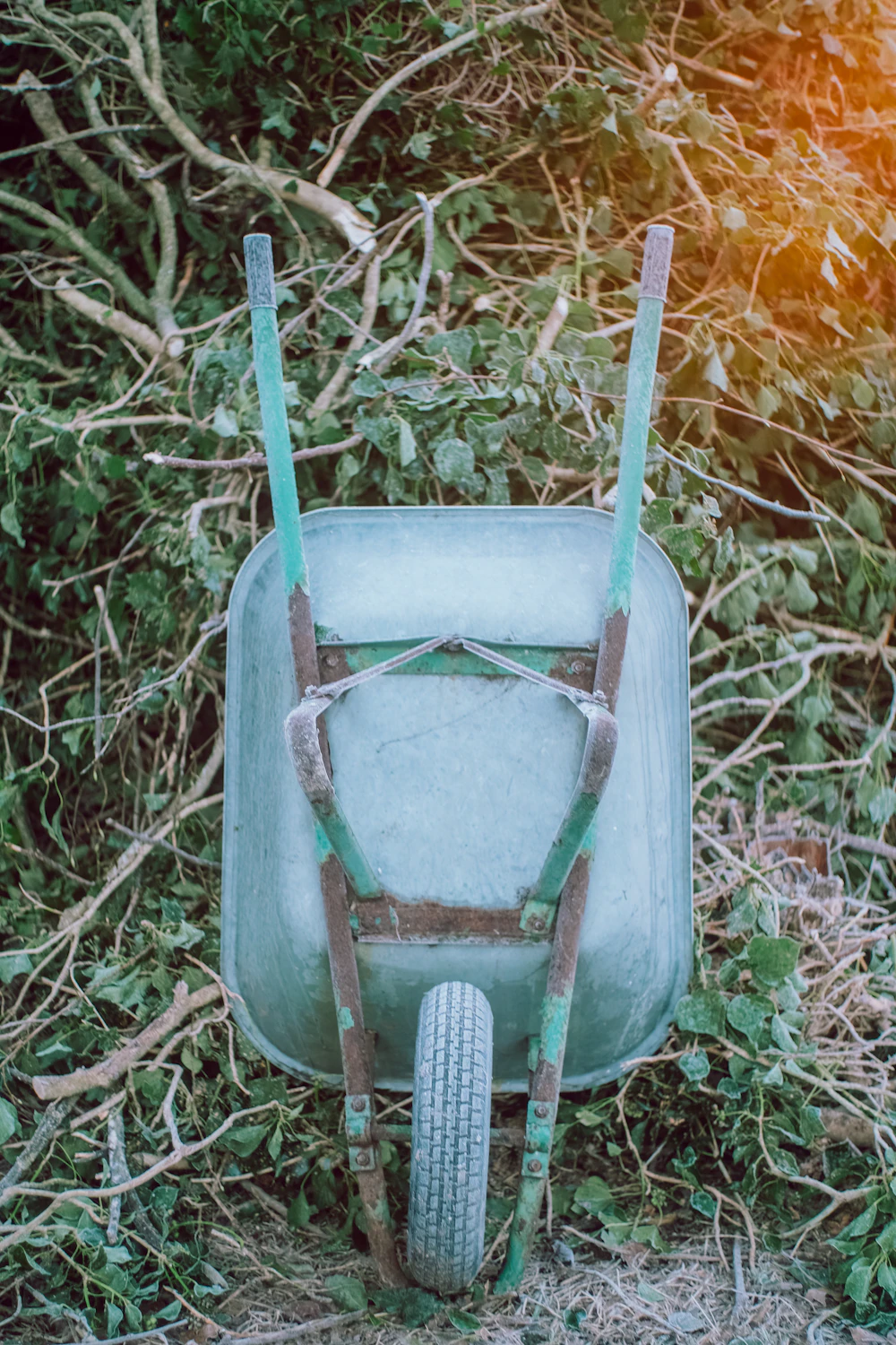Wheelbarrow surrounded by garden debris after outdoor cleanup