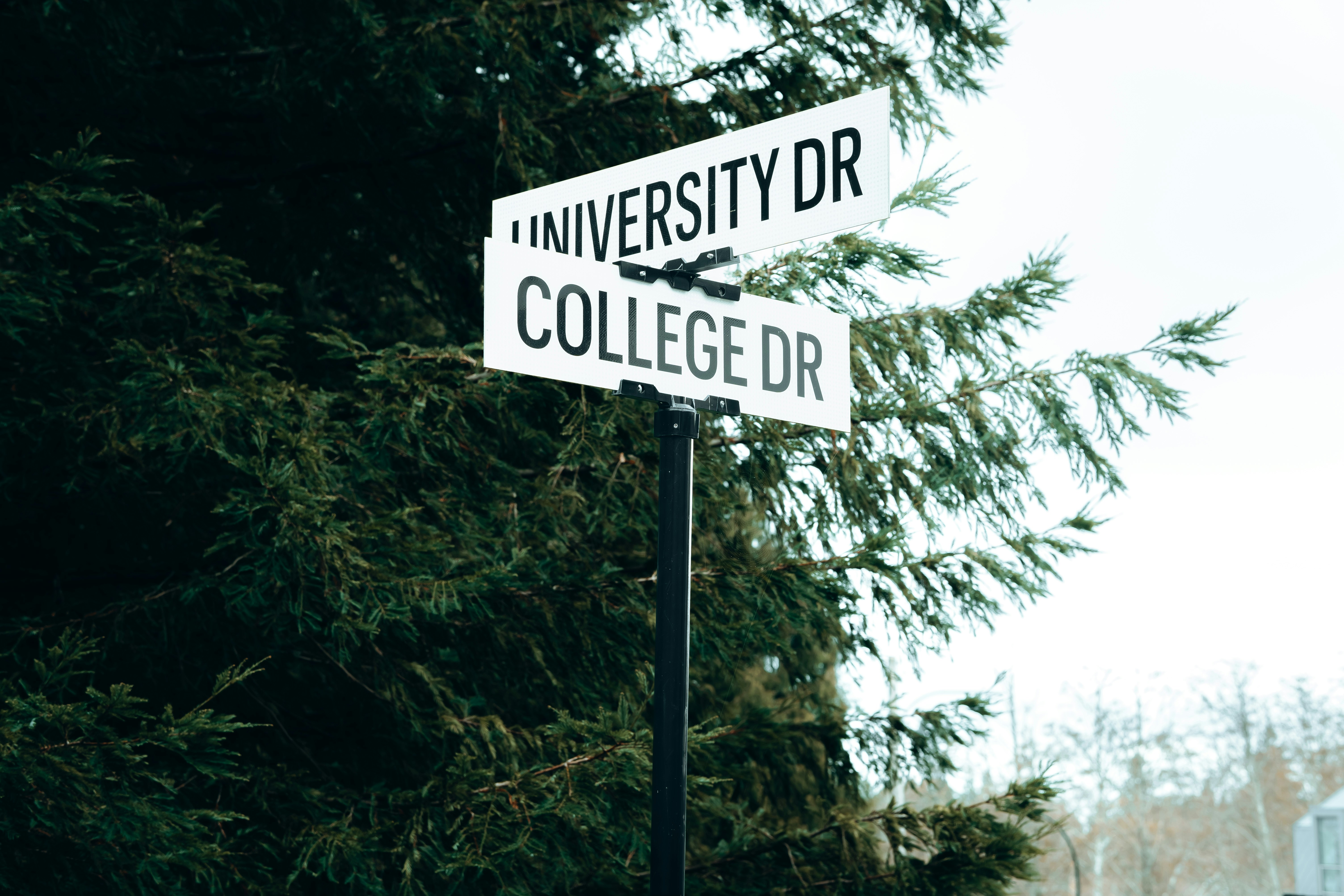 University drive and college drive street signs