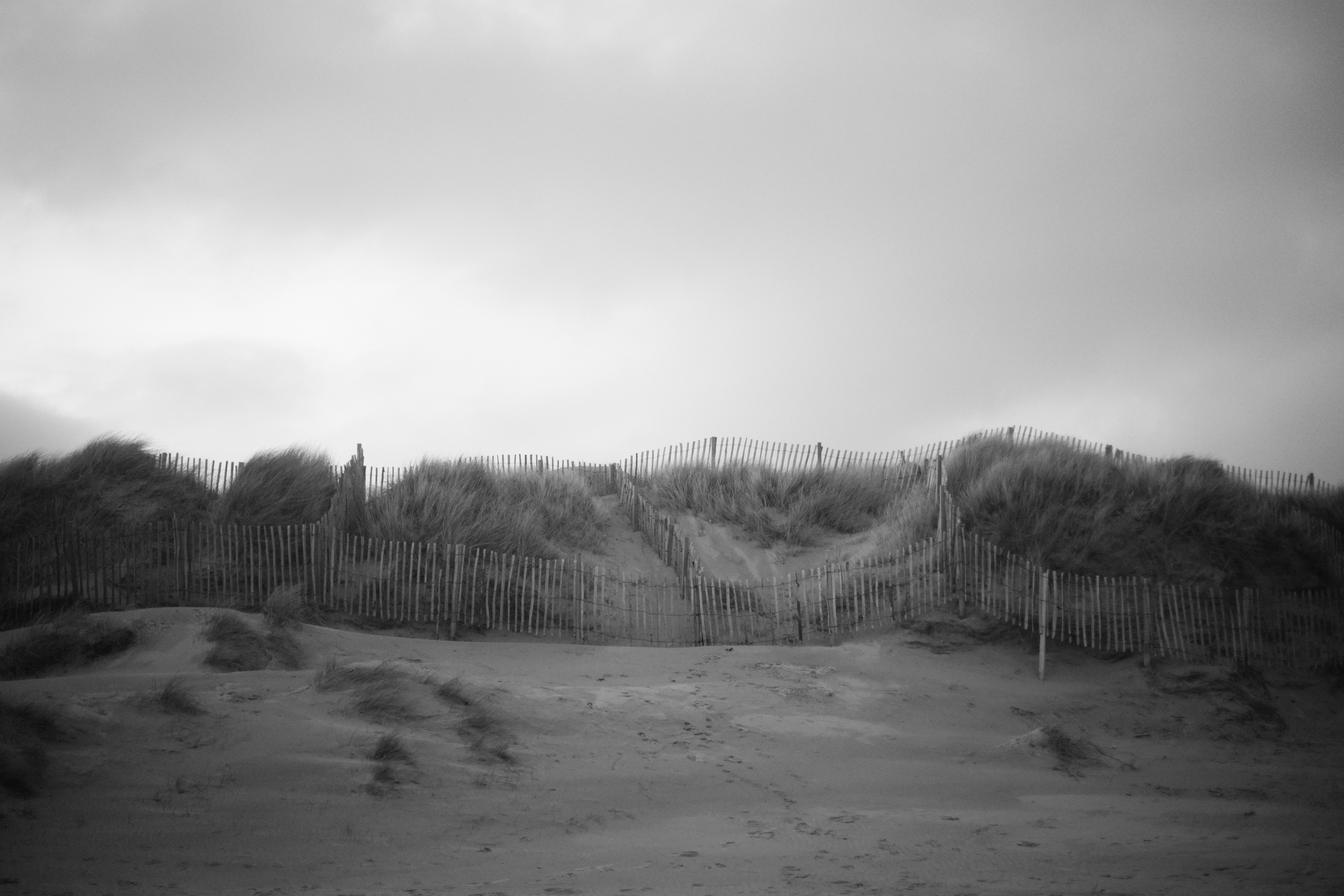 Photo by albutler