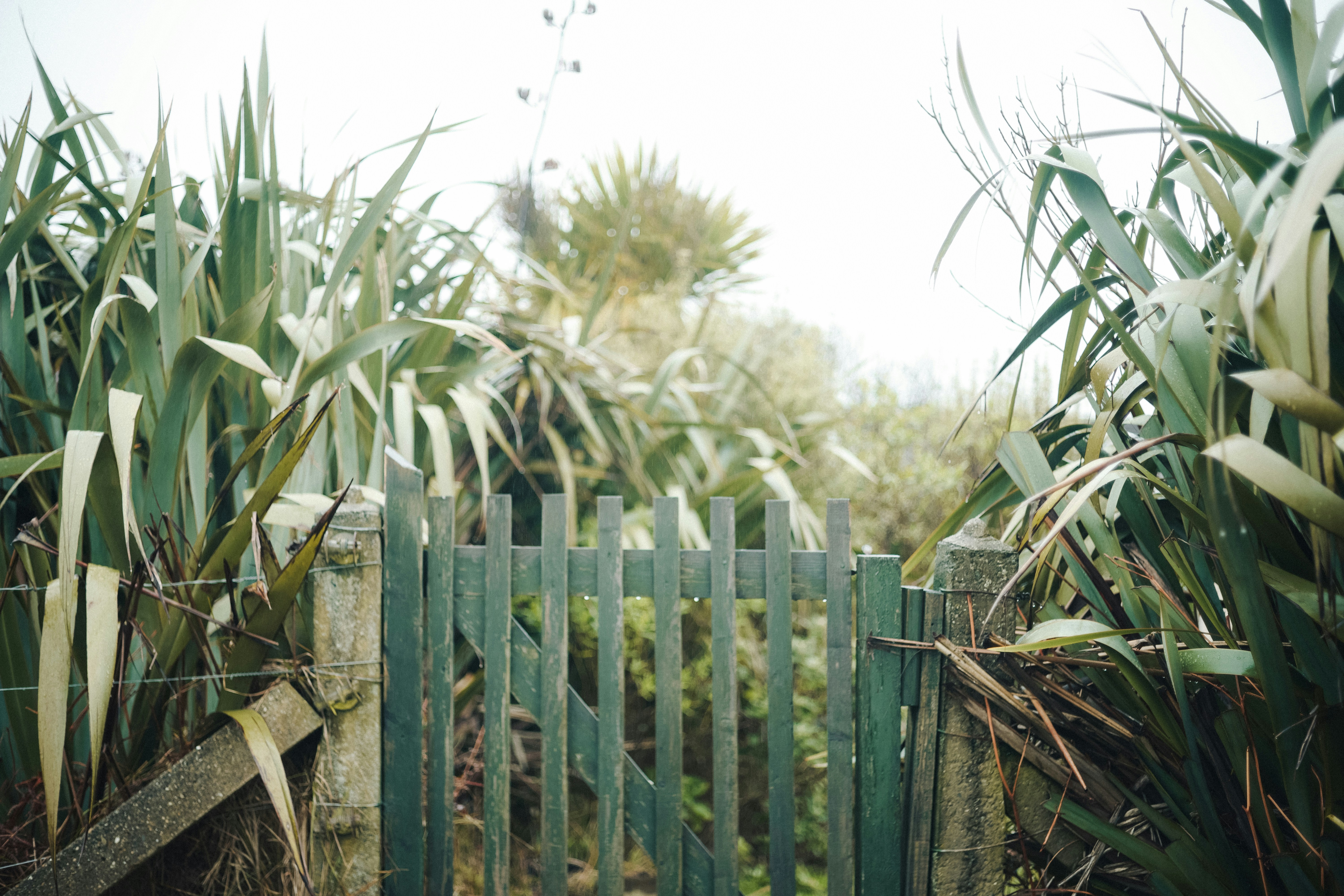 Editorial image for A Weekend Plan For Tackling Maintaining Fences And Gates Without Feeling Overwhelmed