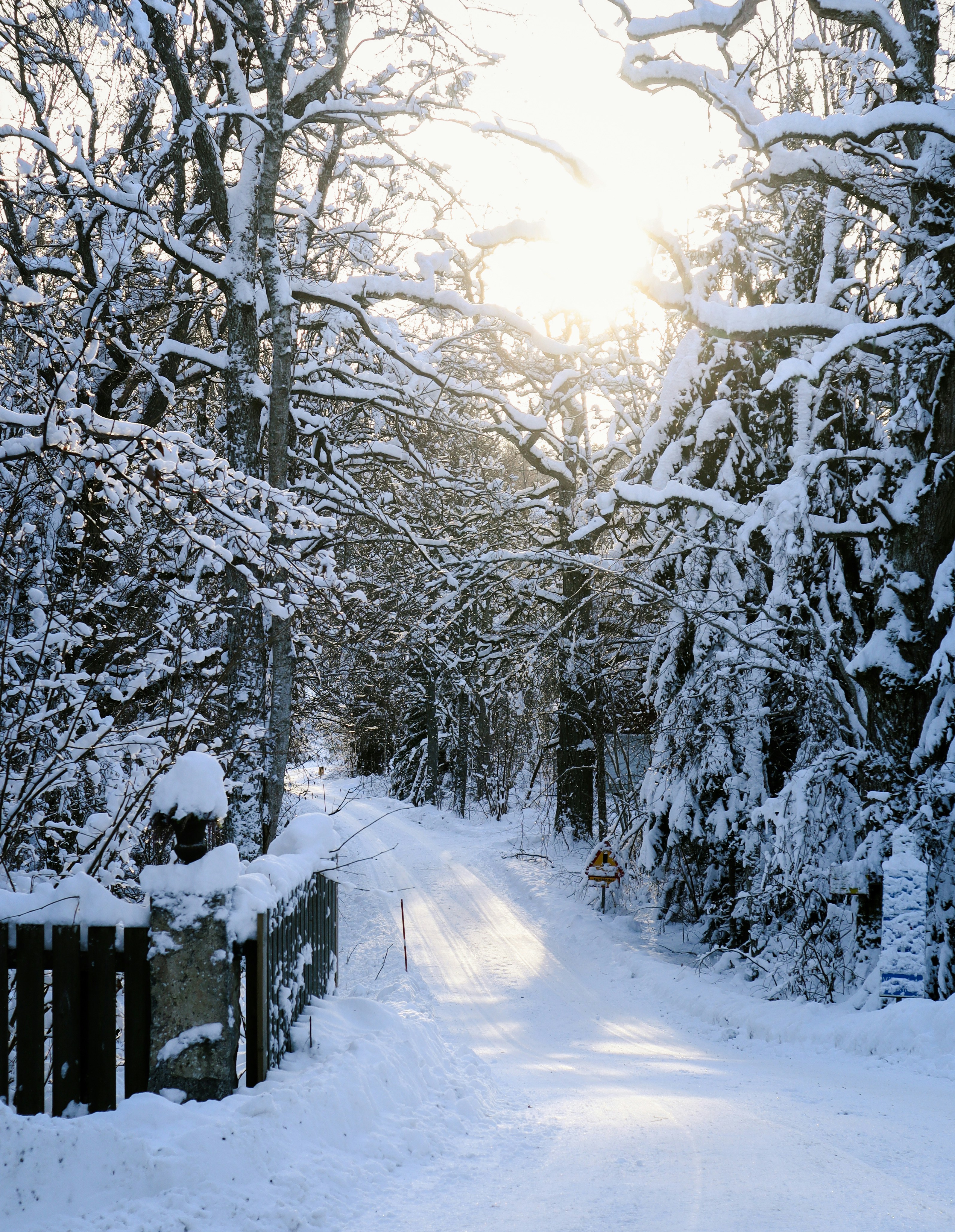 Photo by mhei_design