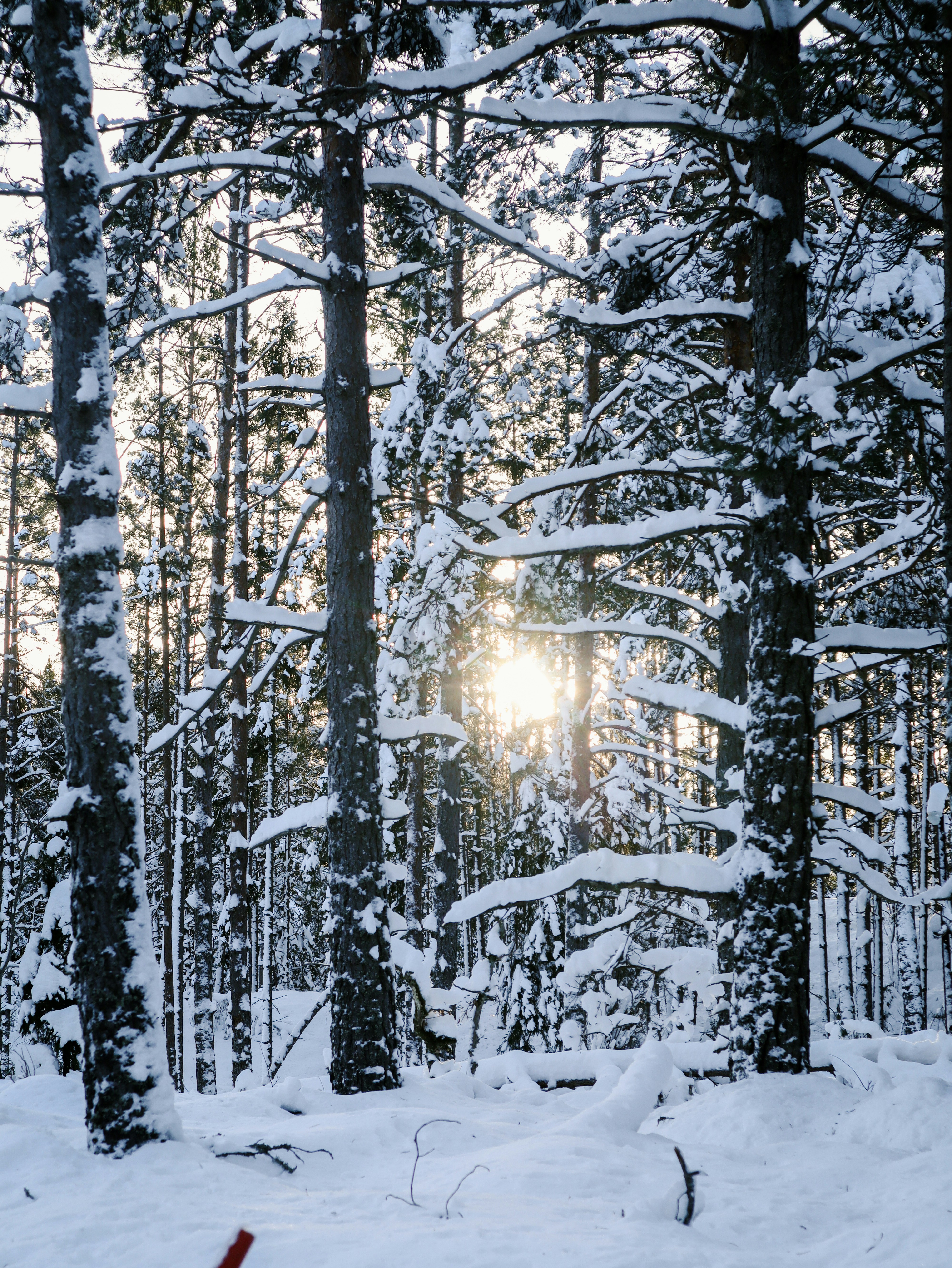 Photo by mhei_design