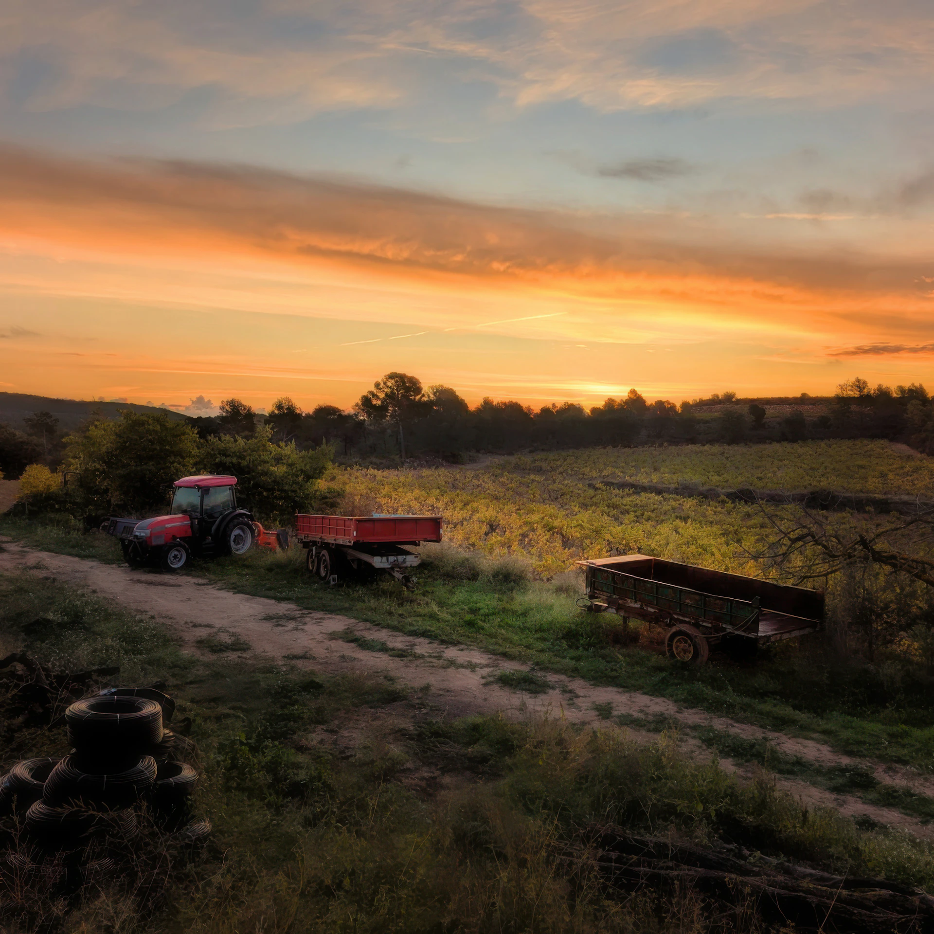 Red tractor and trailers at sunset in a field.