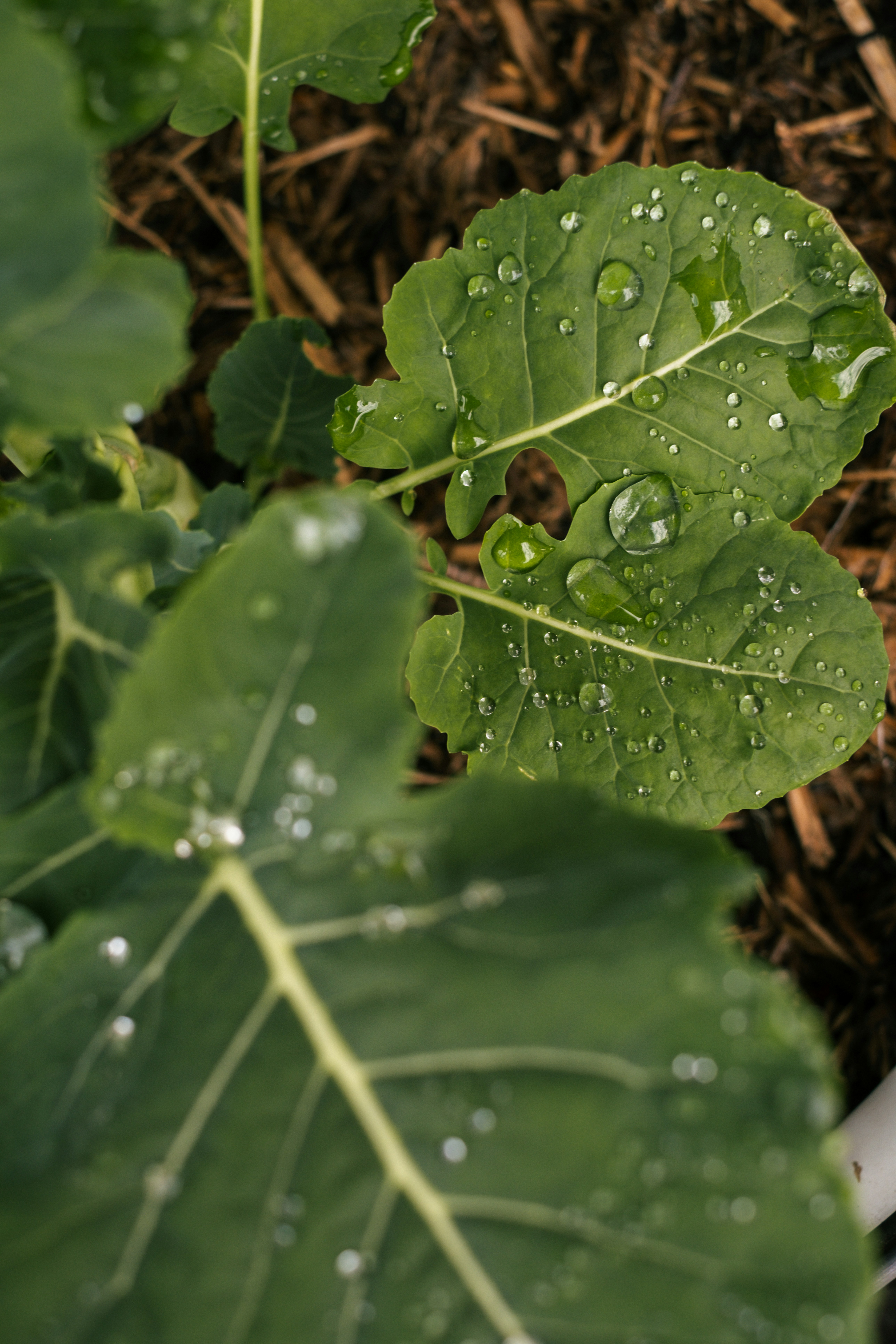 Photo by raegocreative