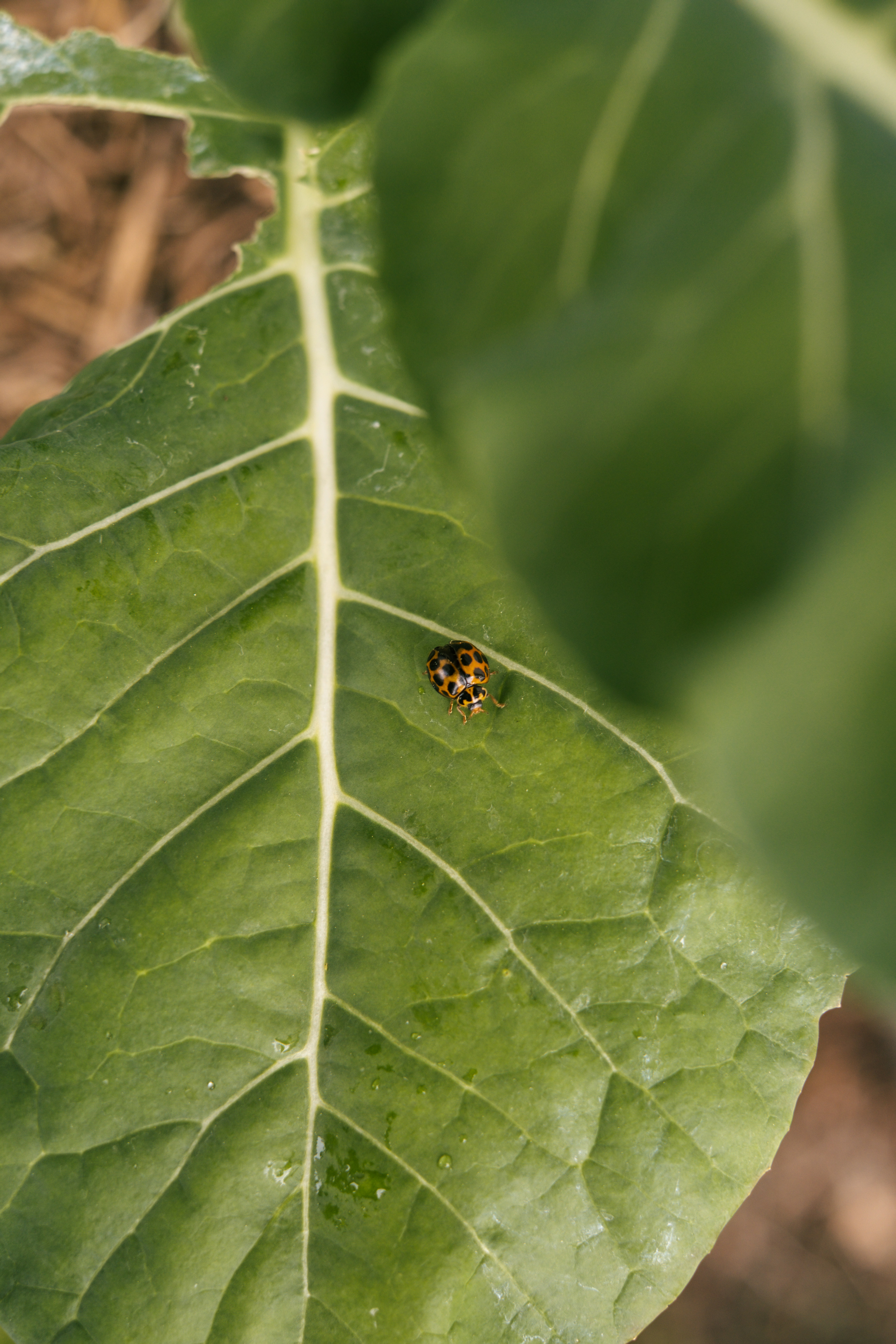 Photo by raegocreative