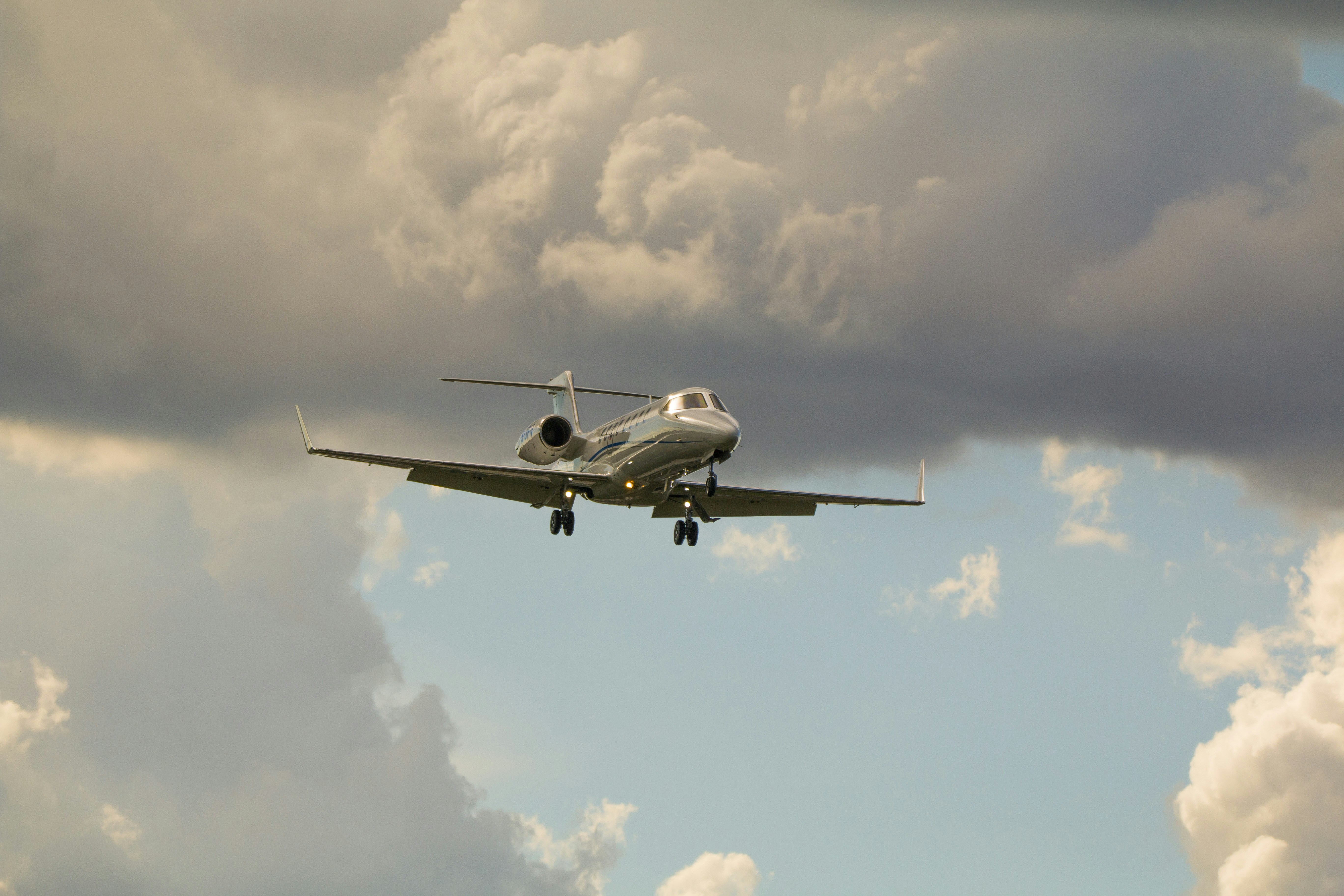 Photo by eversonvansoski