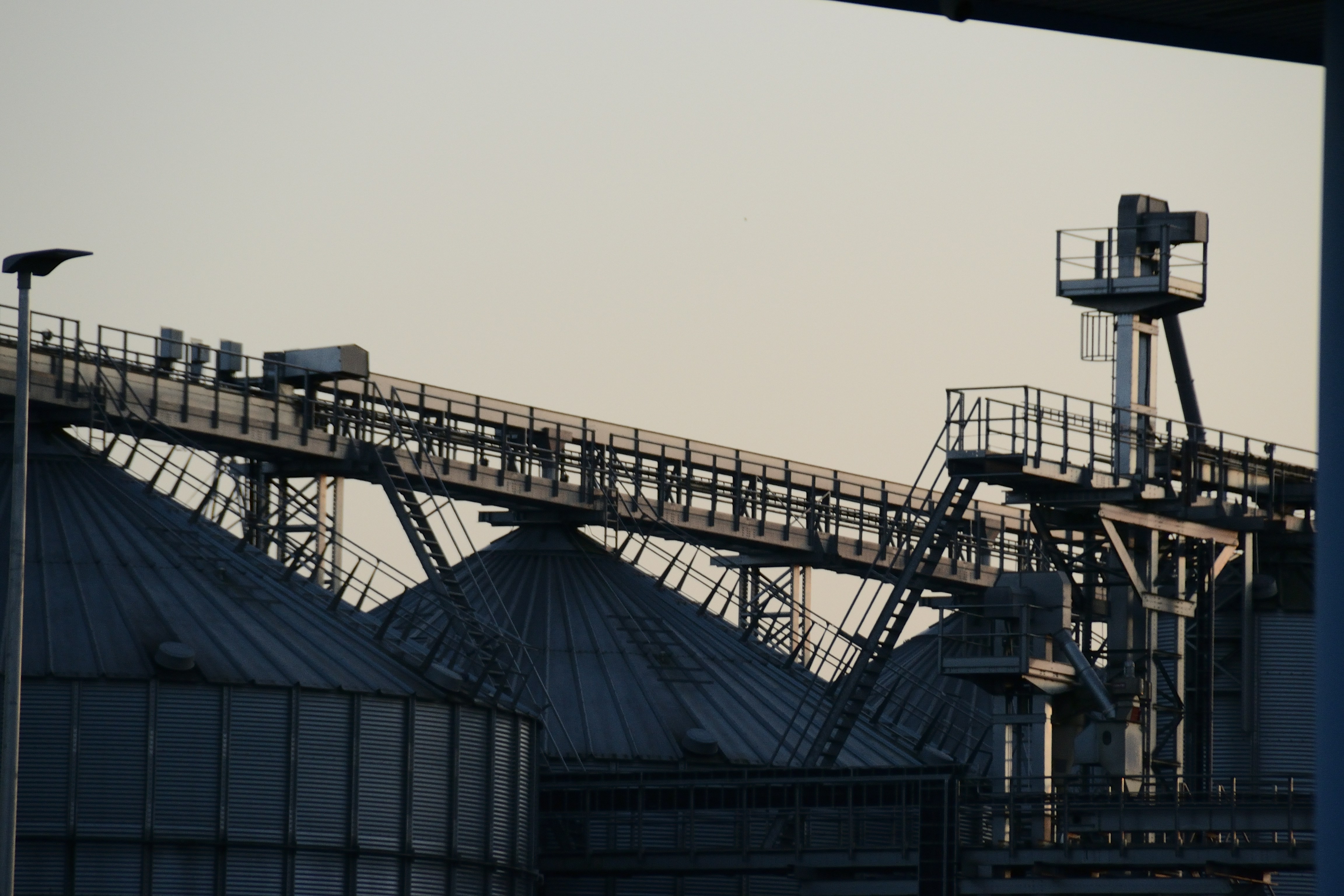 Photo by psilocybe53