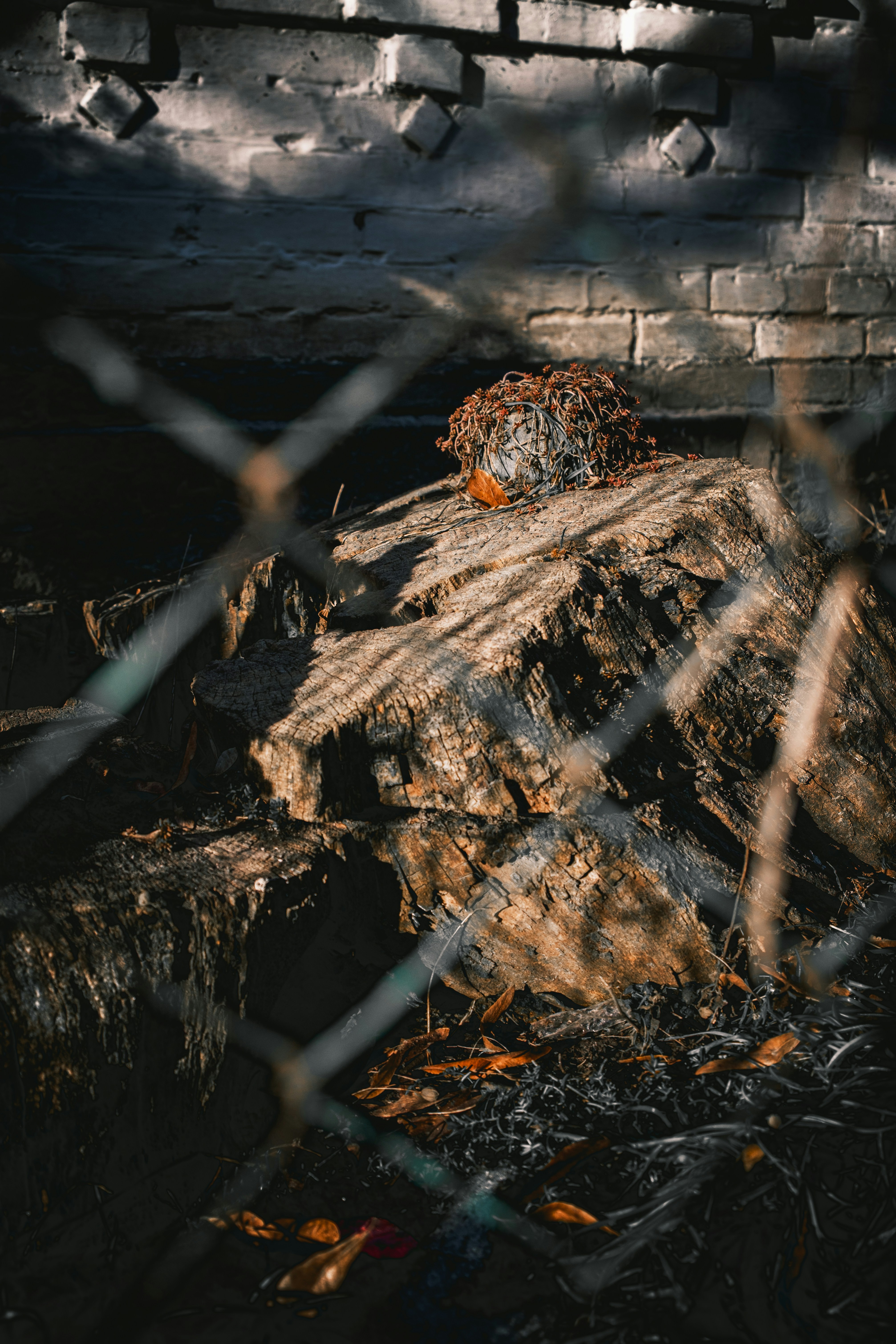 Photo by audhd_enjoyer