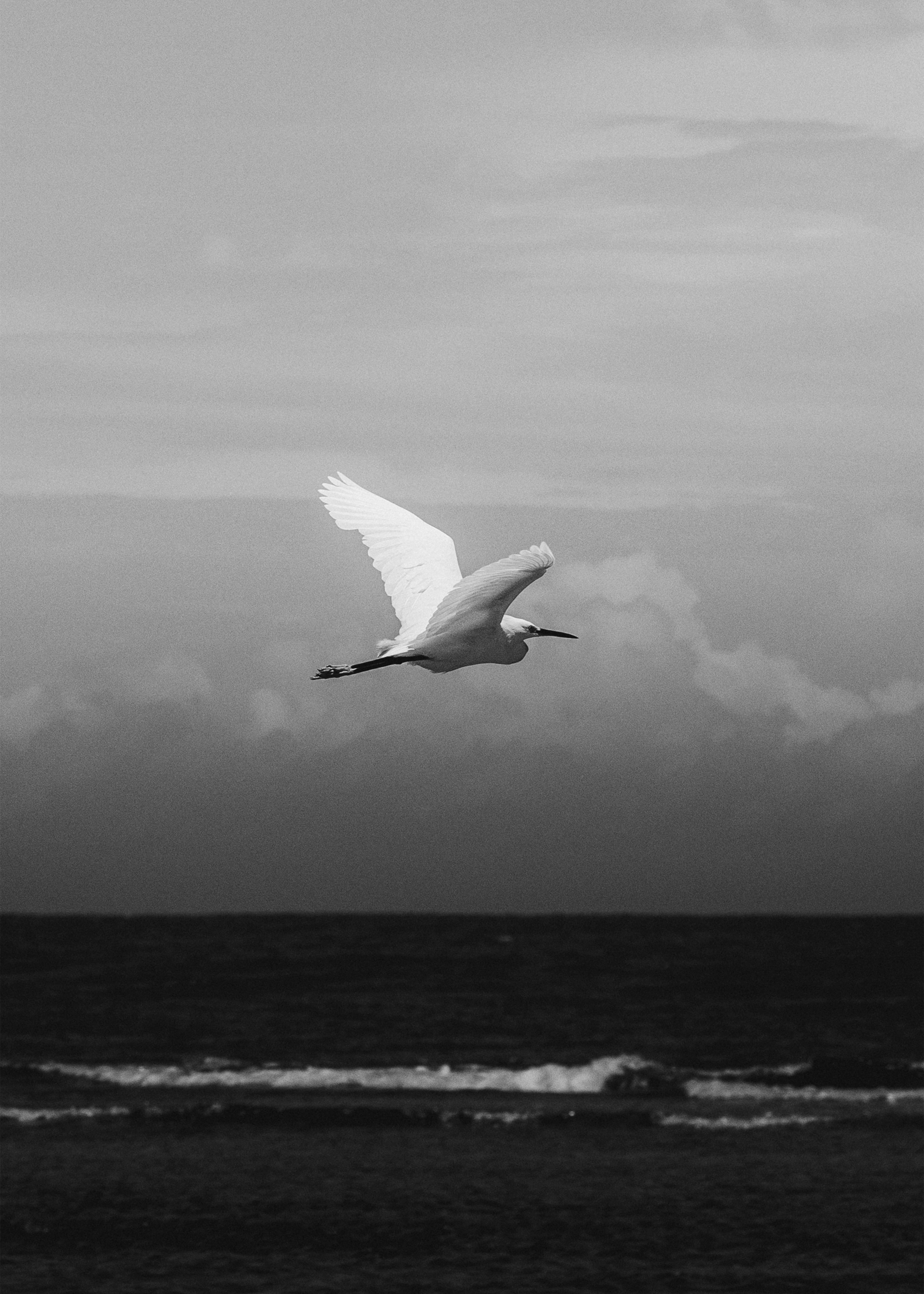 Photo by jonathanborba