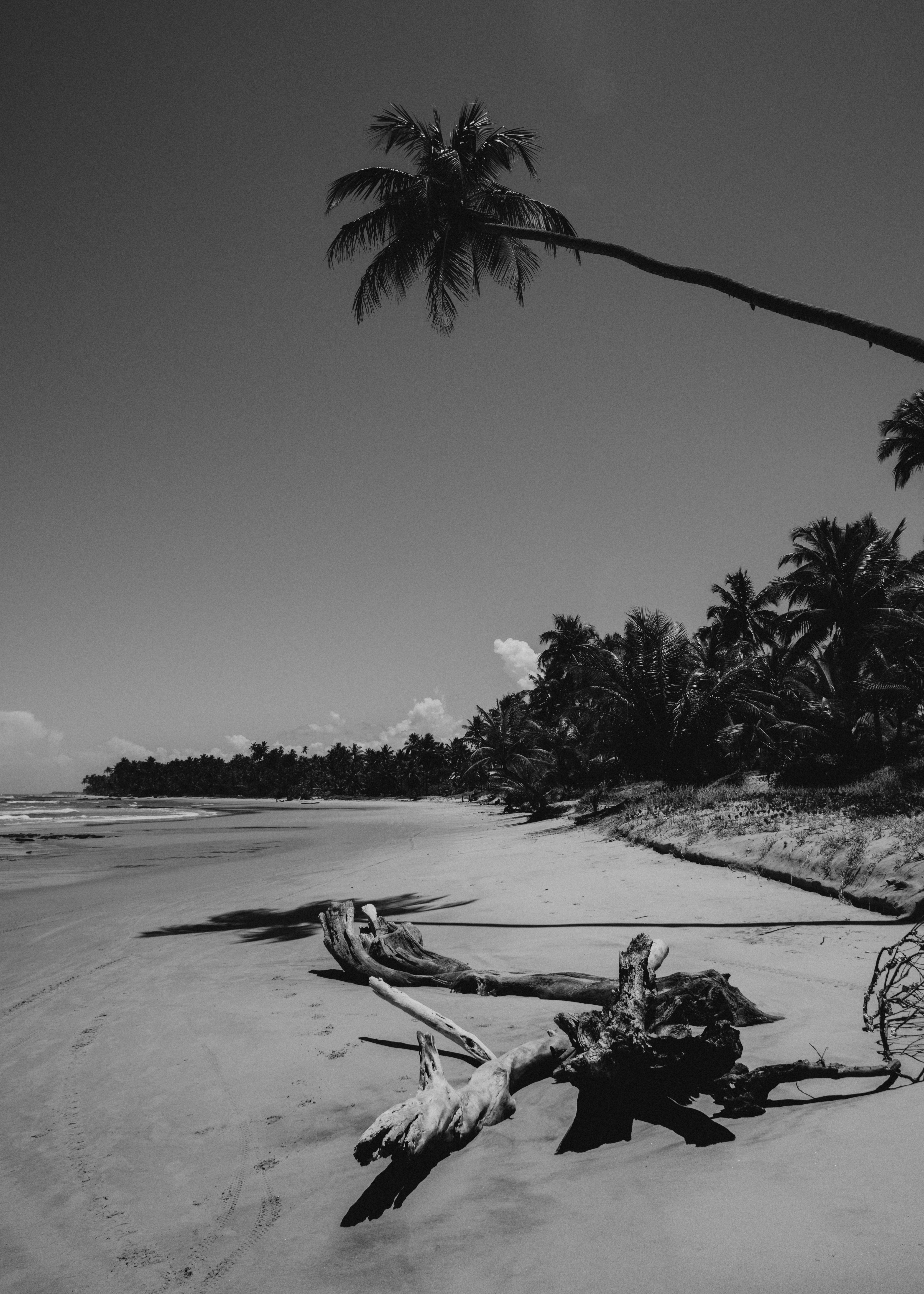 Photo by jonathanborba