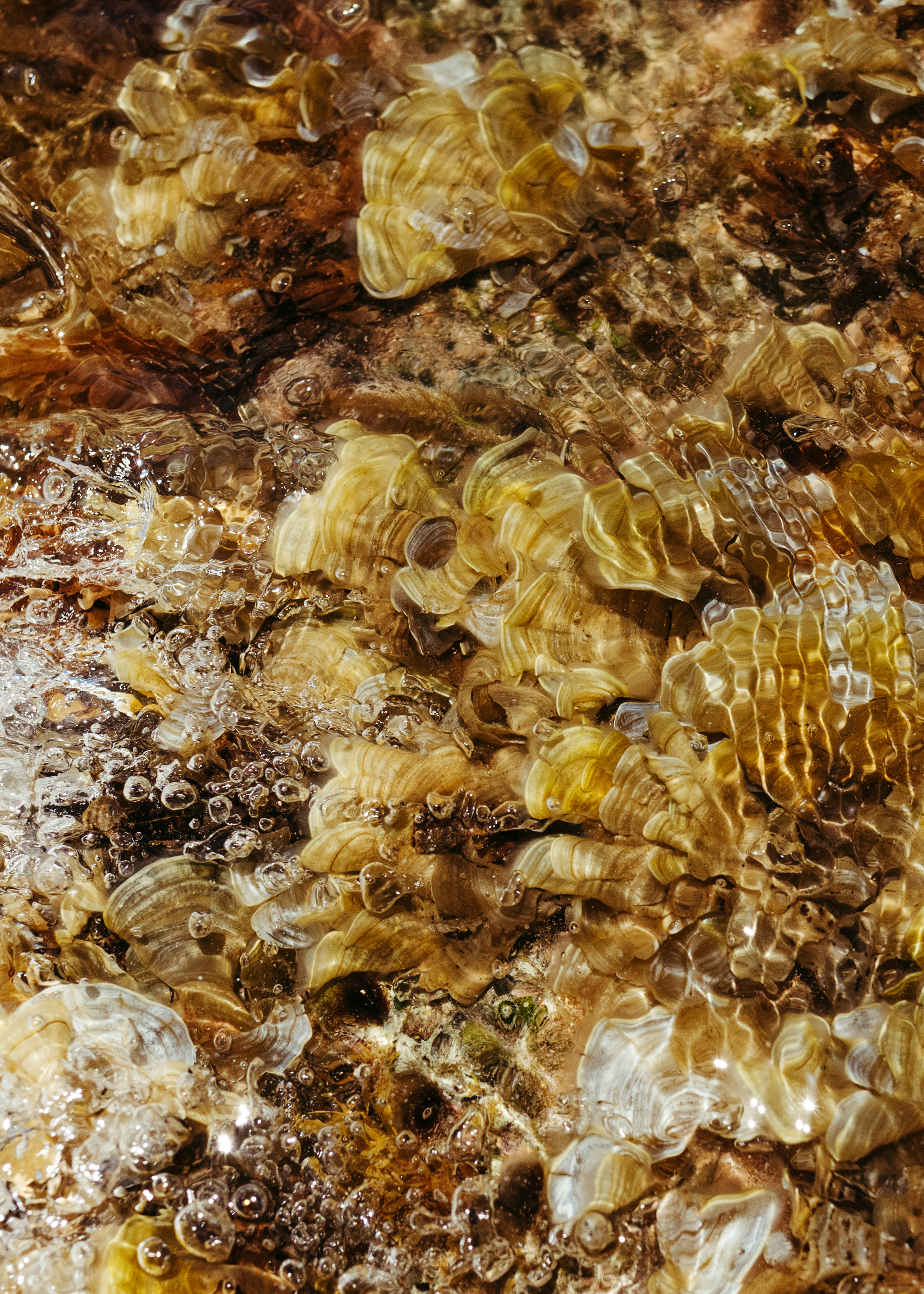 Photo by jonathanborba