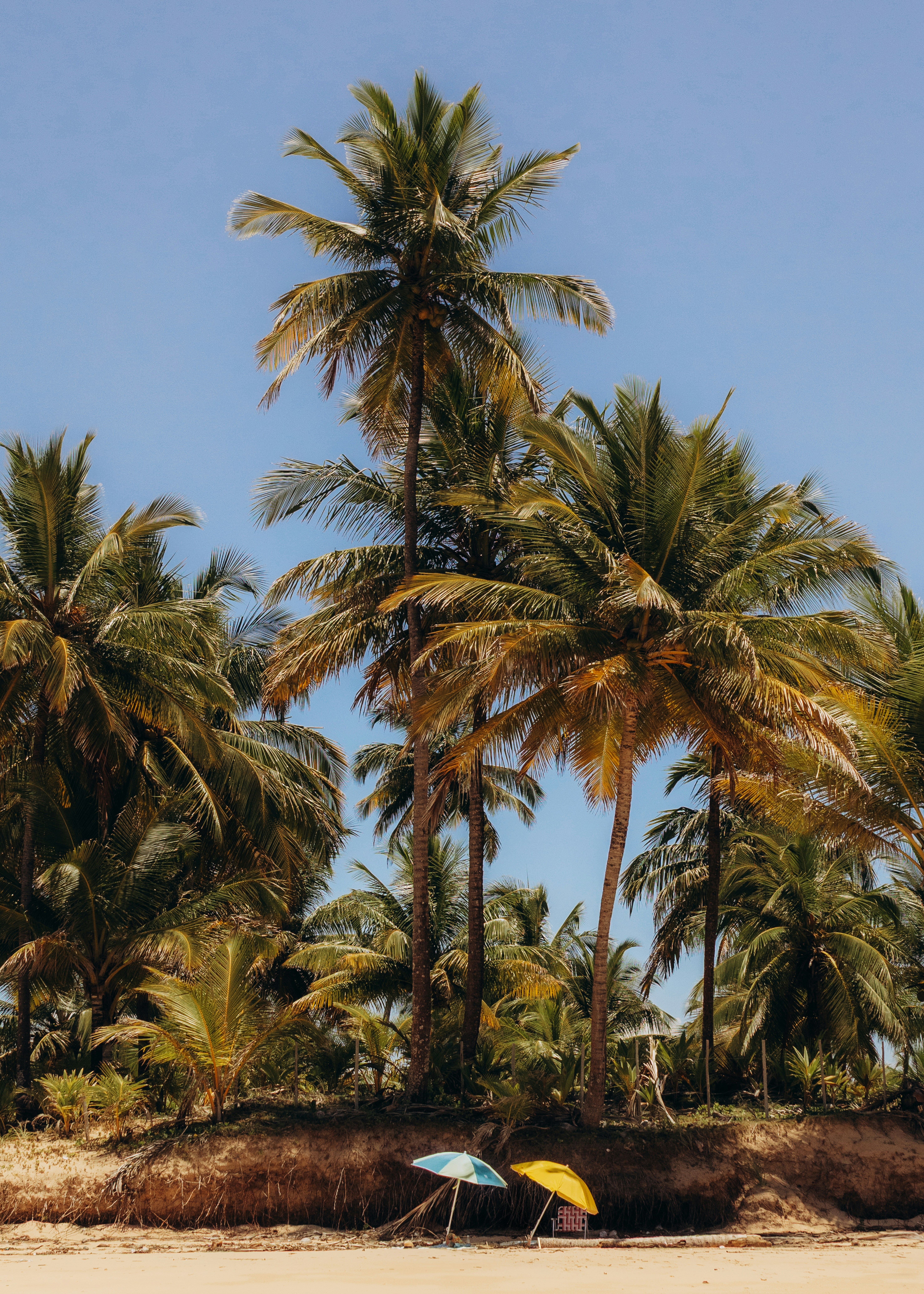 Photo by jonathanborba