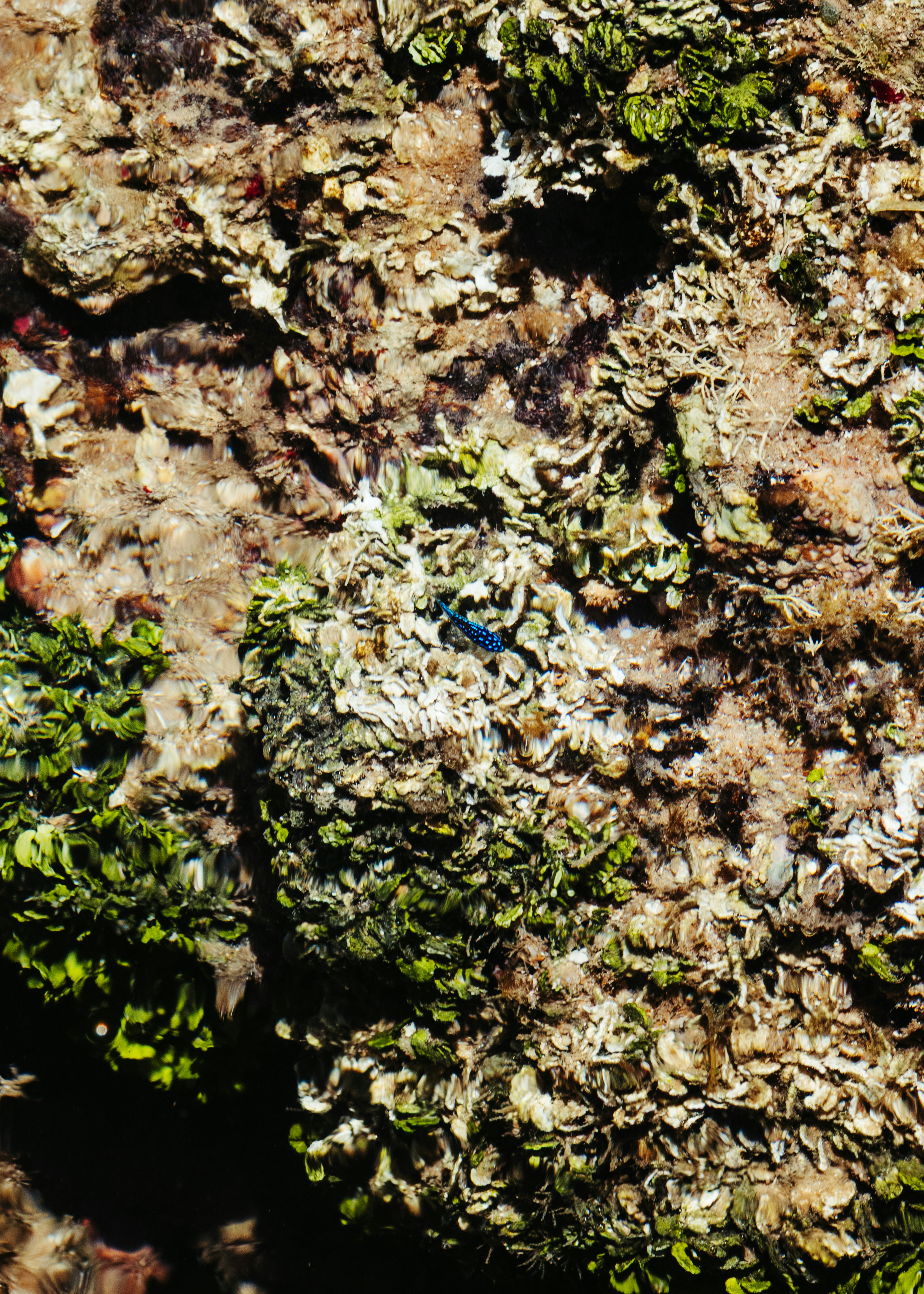 Photo by jonathanborba