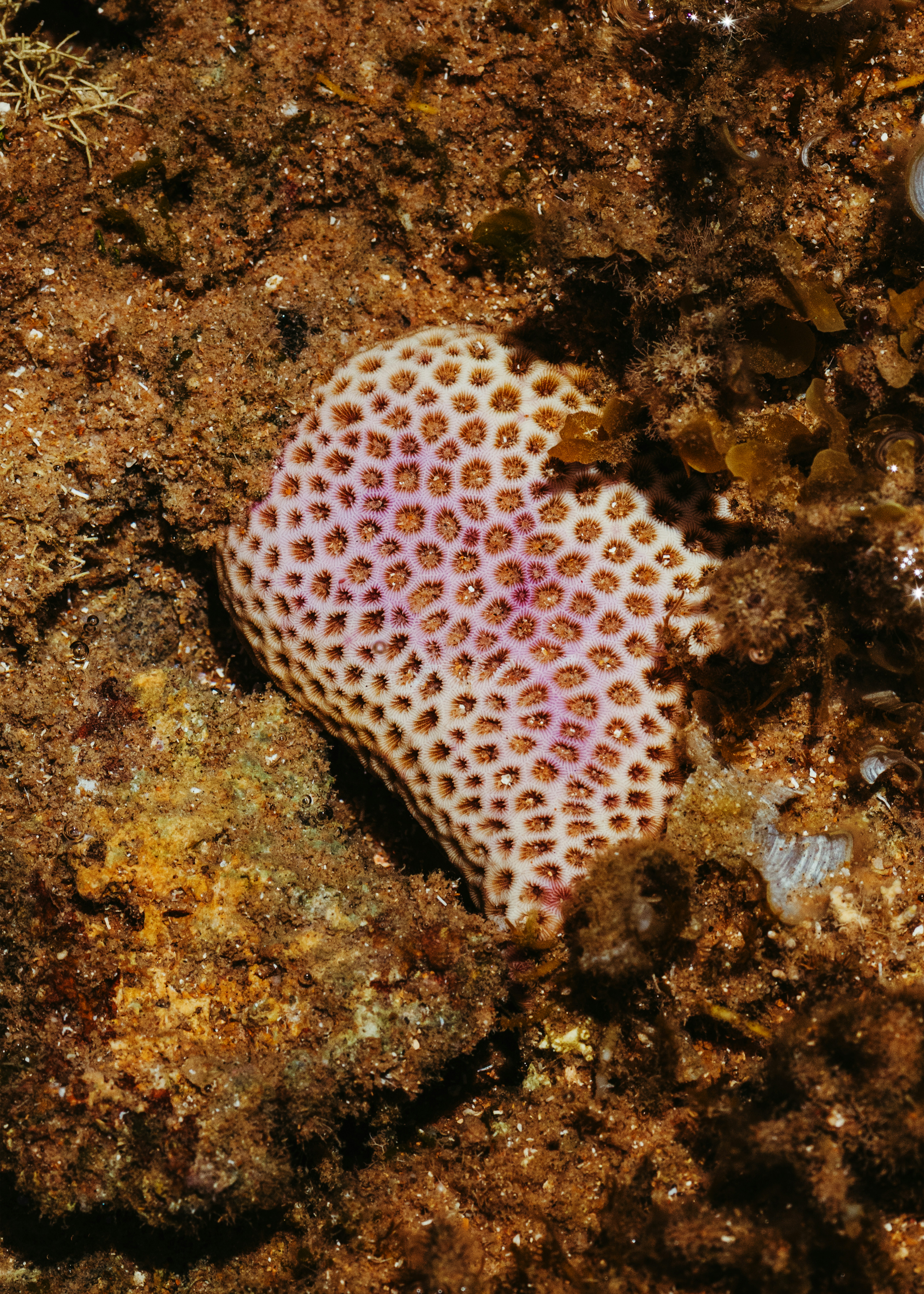 Photo by jonathanborba