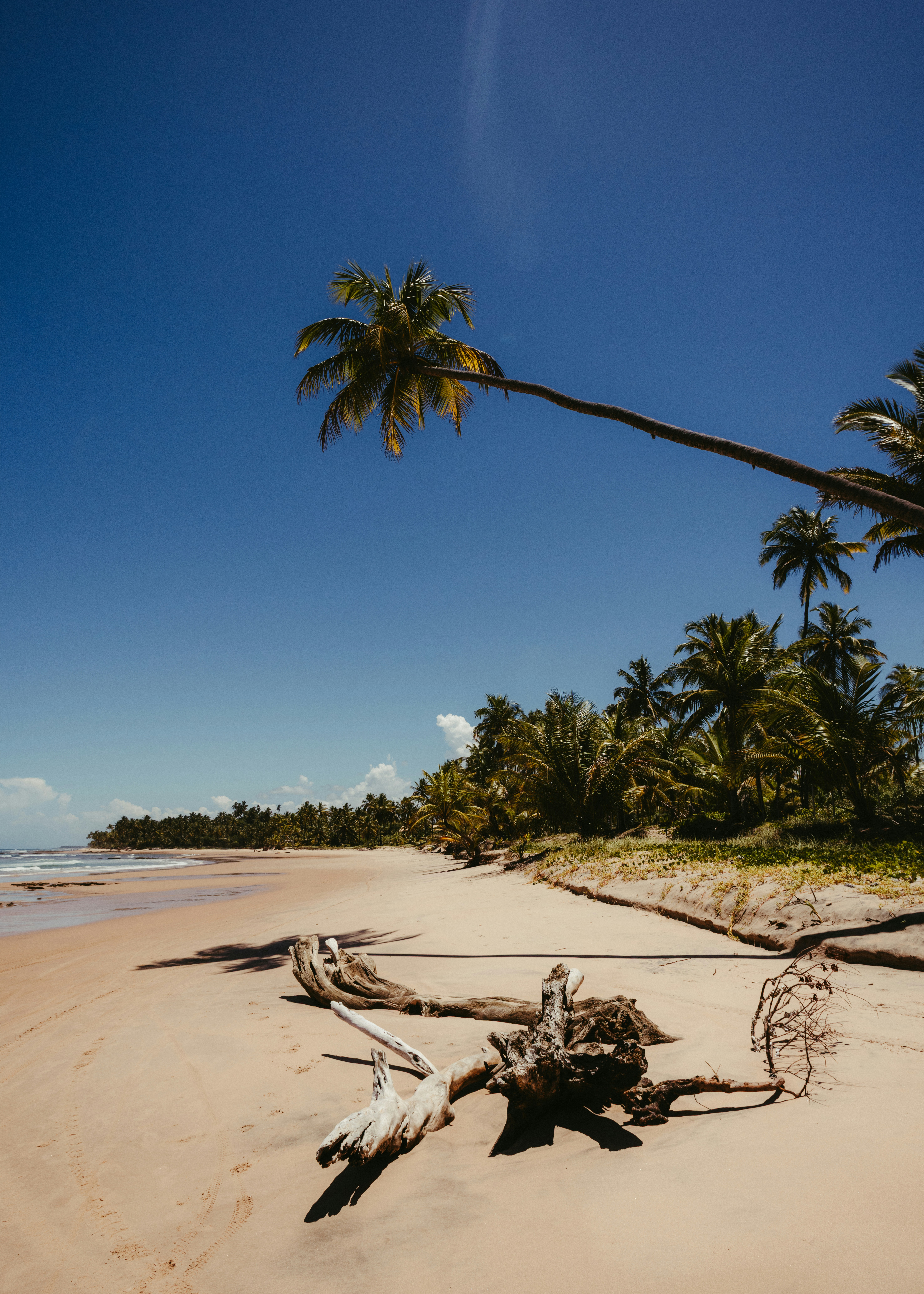 Photo by jonathanborba