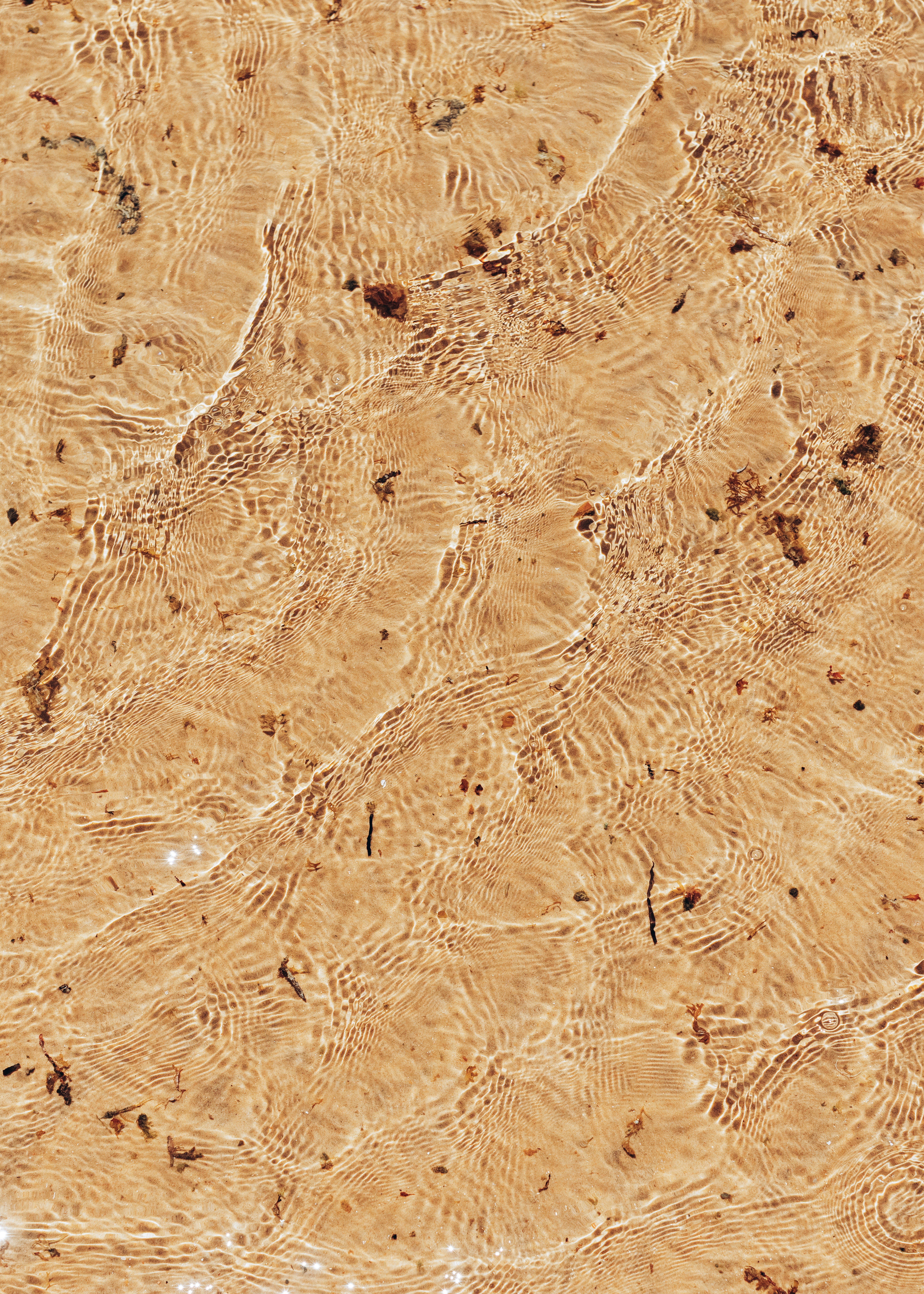 Photo by jonathanborba