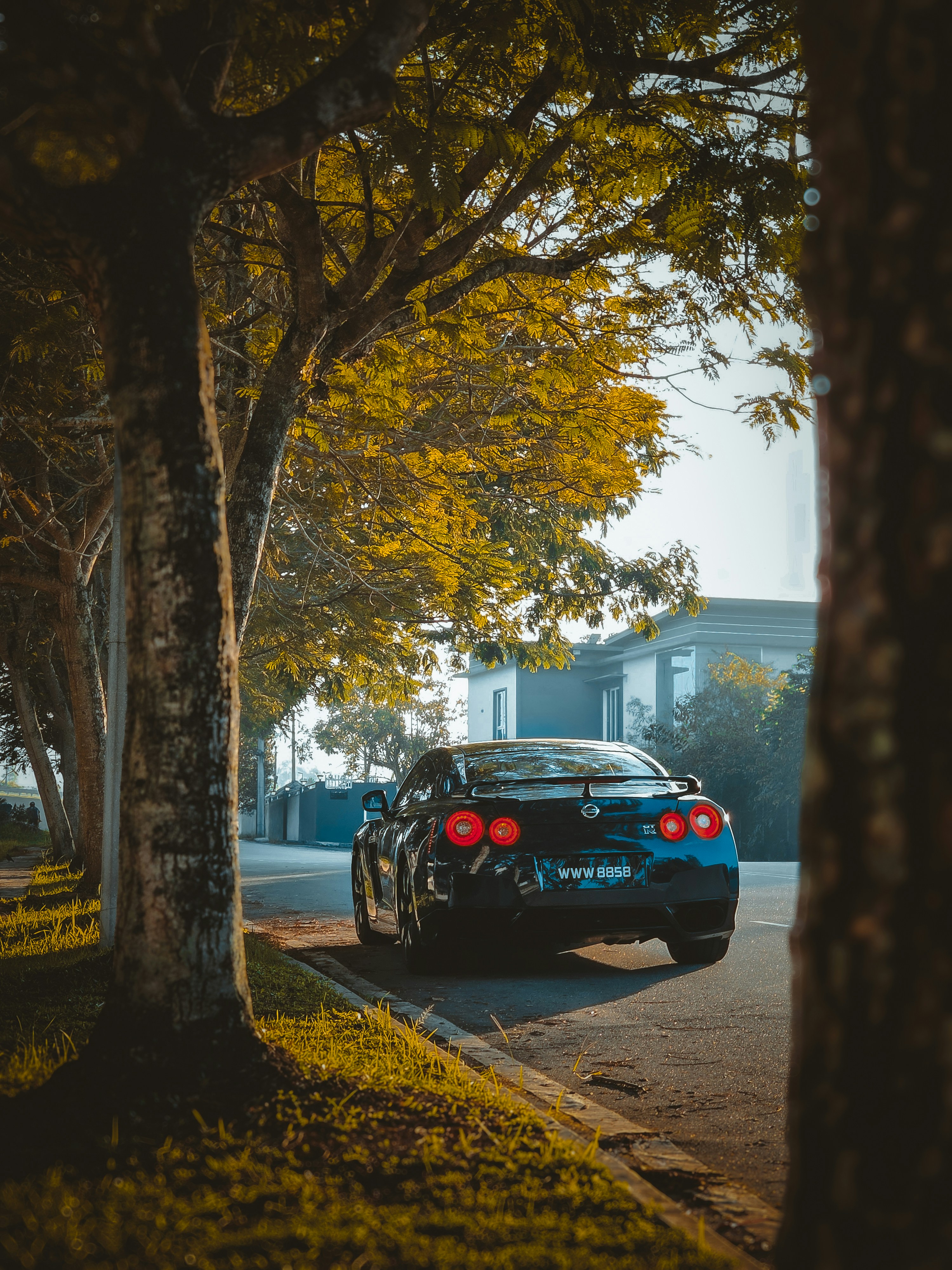 Dark sports car parked on a tree-lined street