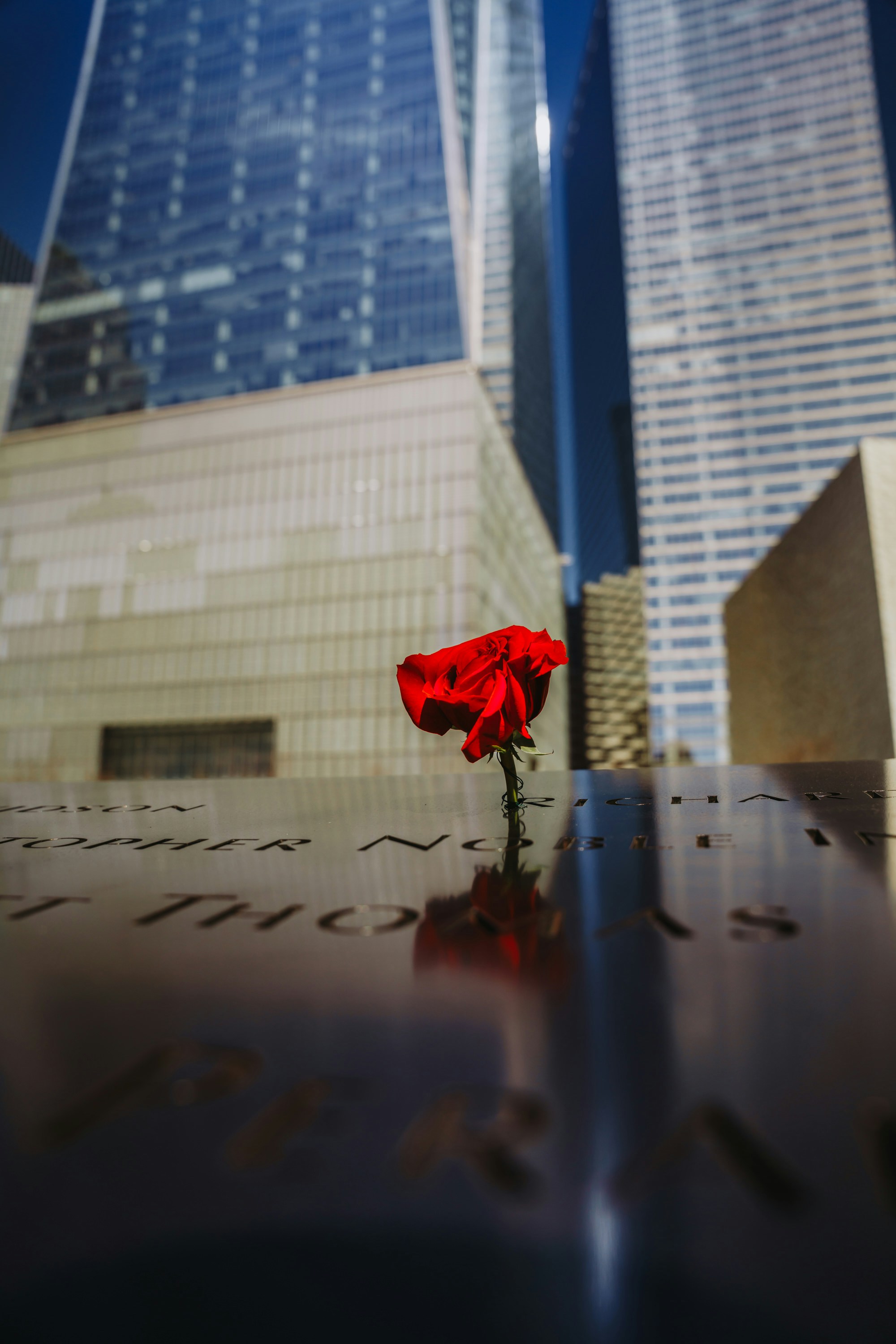 Photo by josemarroquin