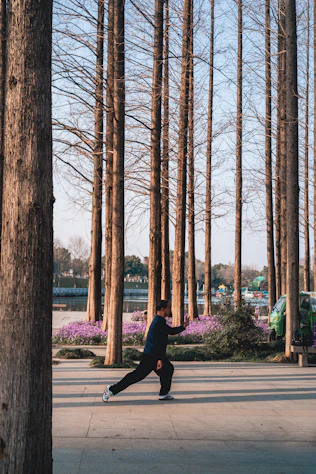 Man practicing tai chi among tall trees