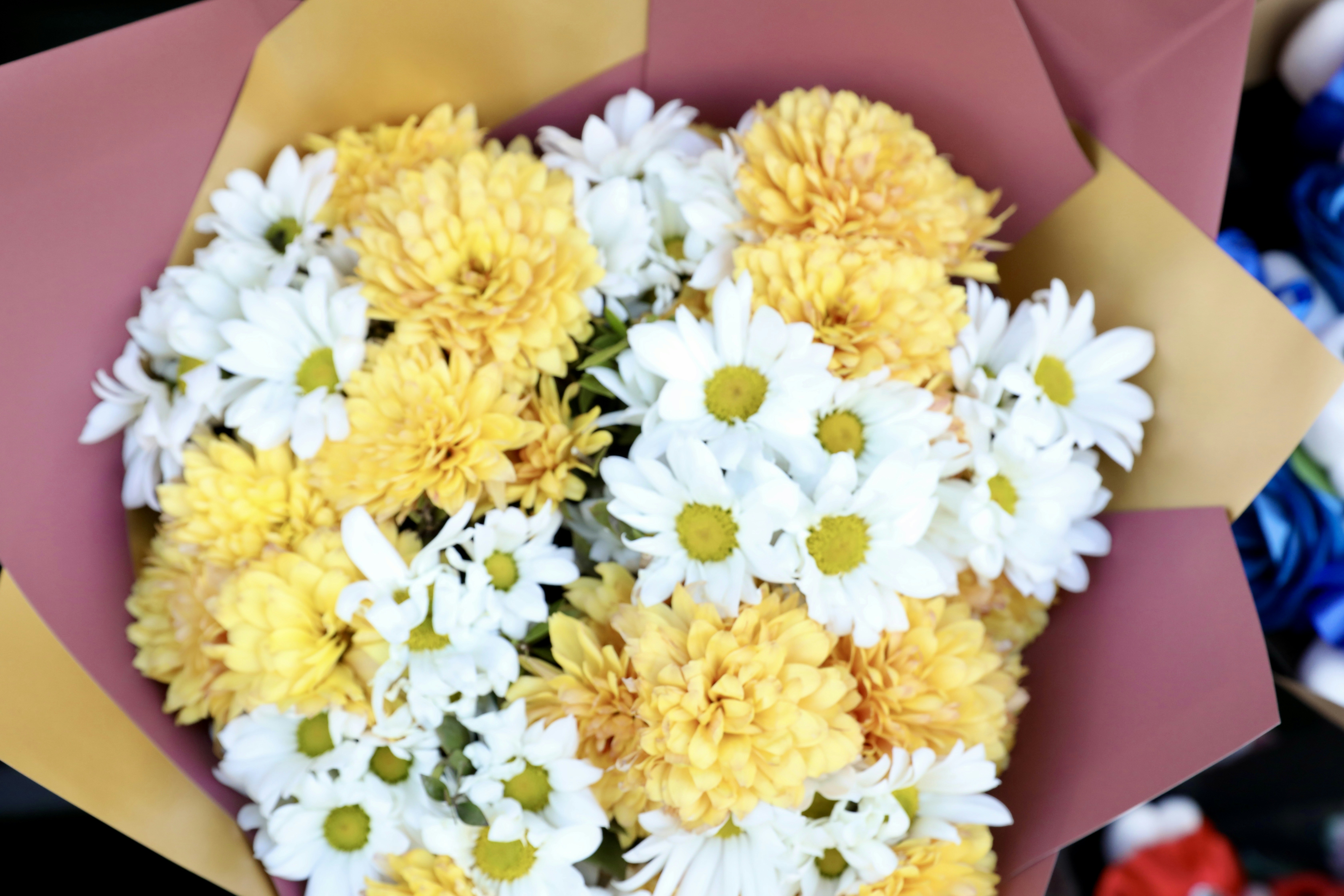 A bouquet of white daisies and yellow chrysanthemums.