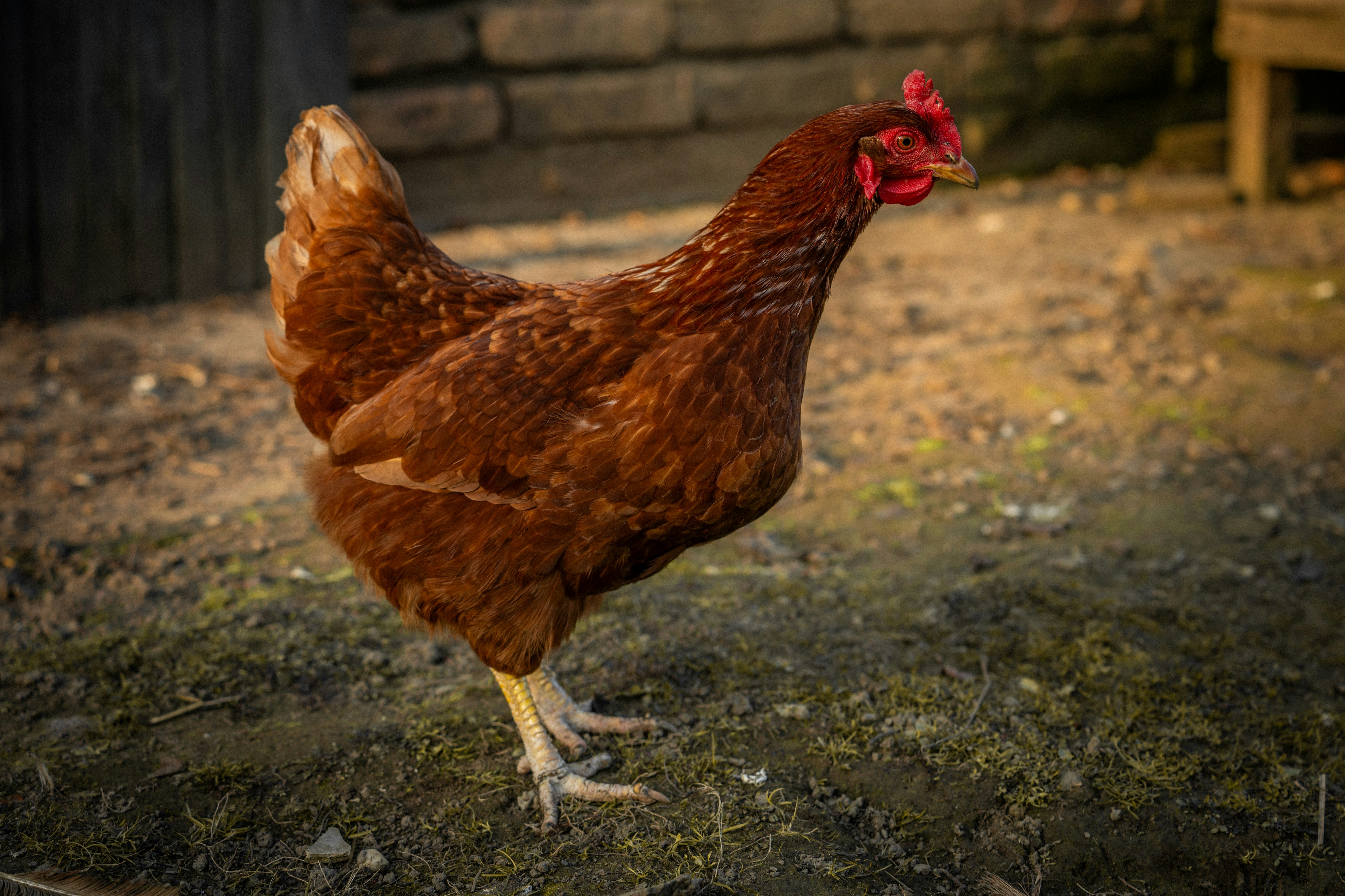 Photo by robi_photography_