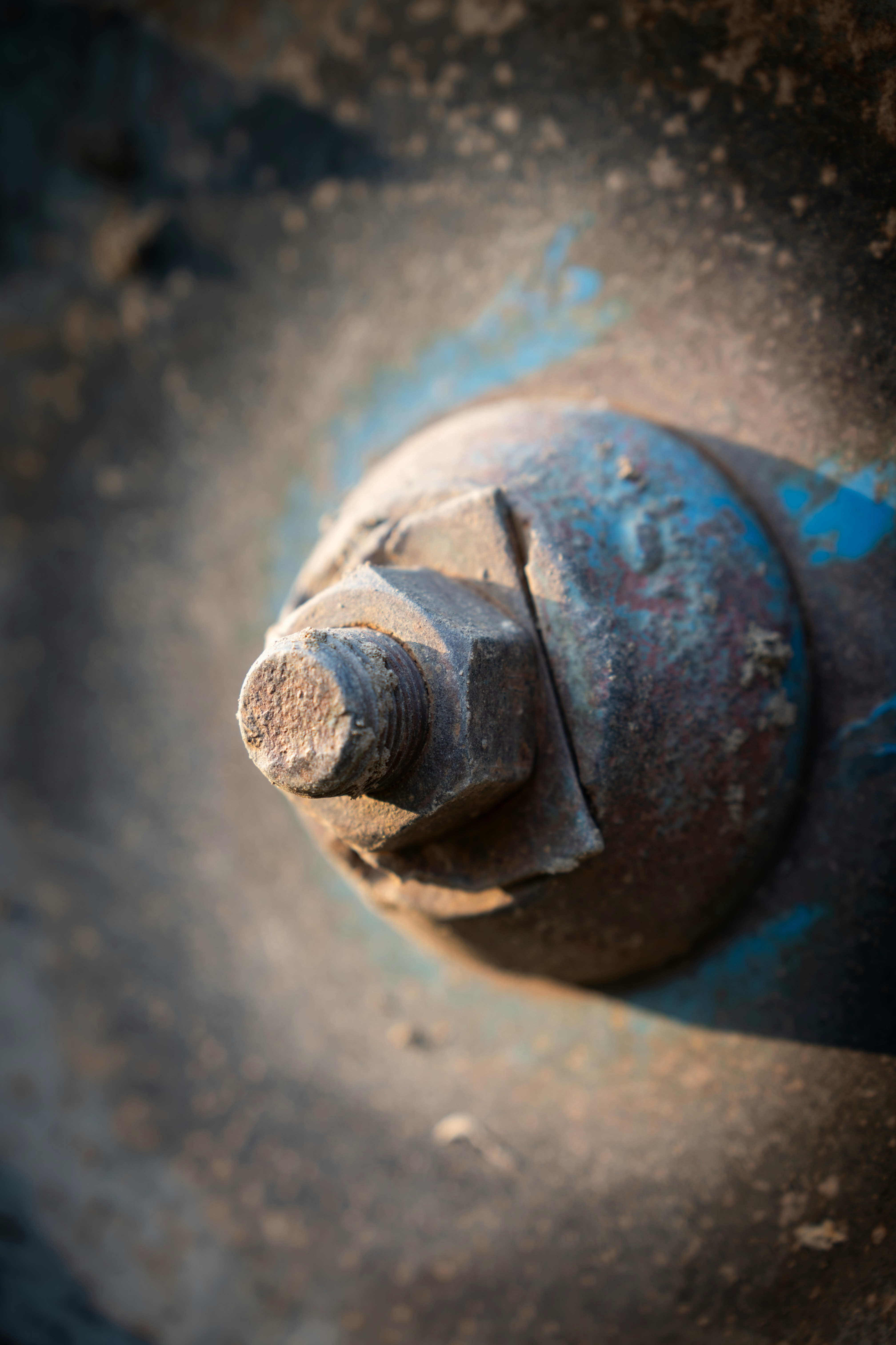 Photo by robi_photography_