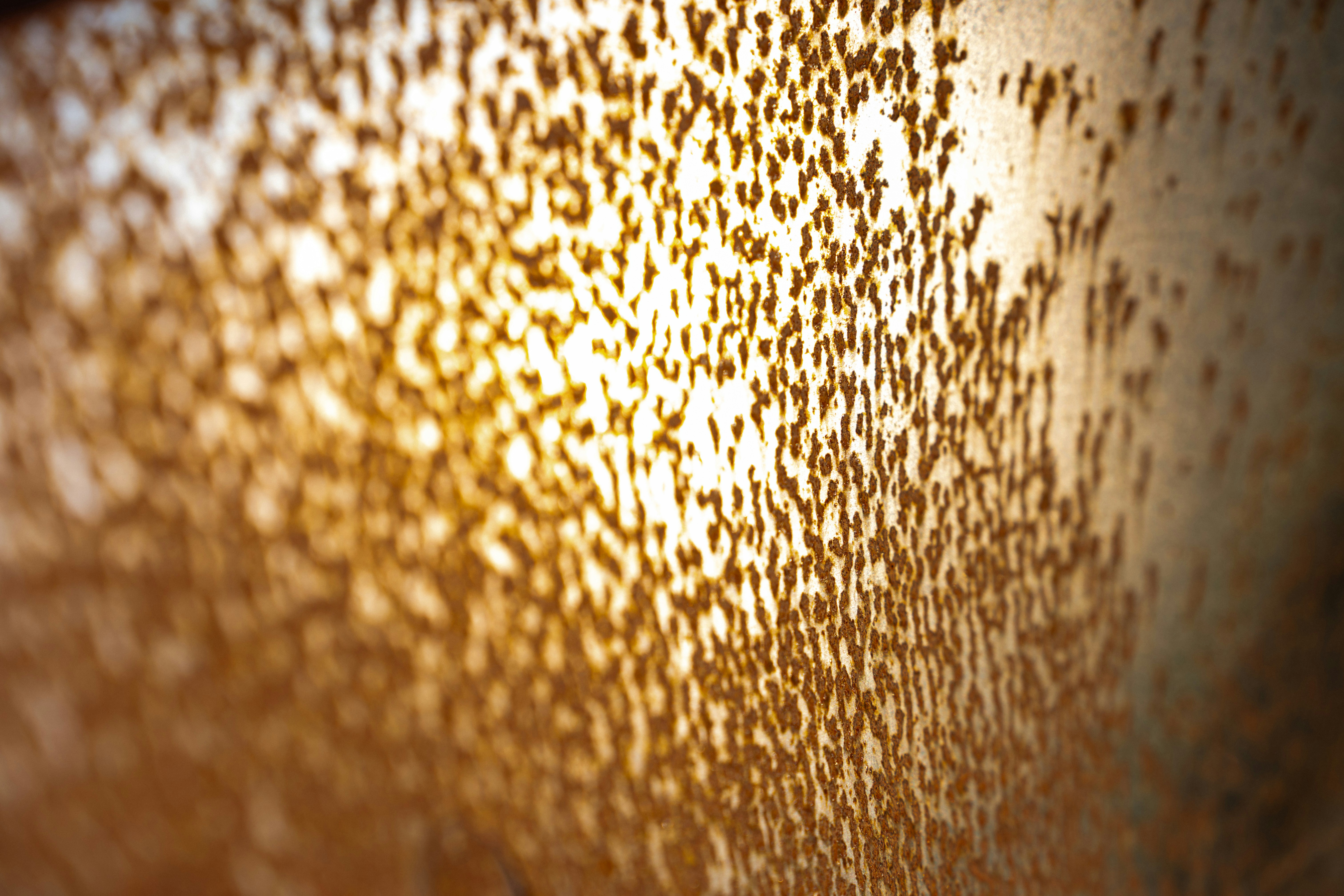 Photo by robi_photography_