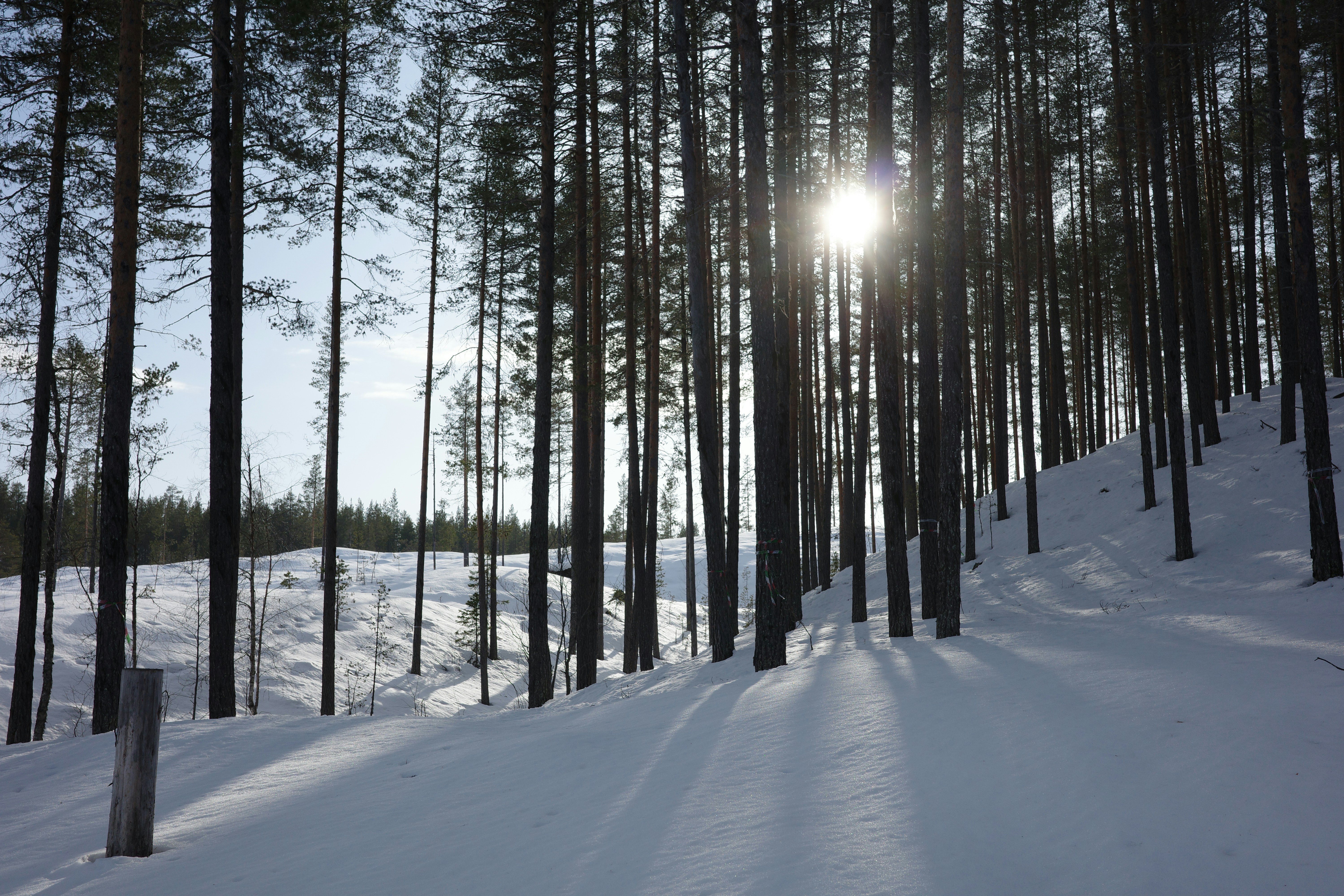 Photo by jeroenoverschie