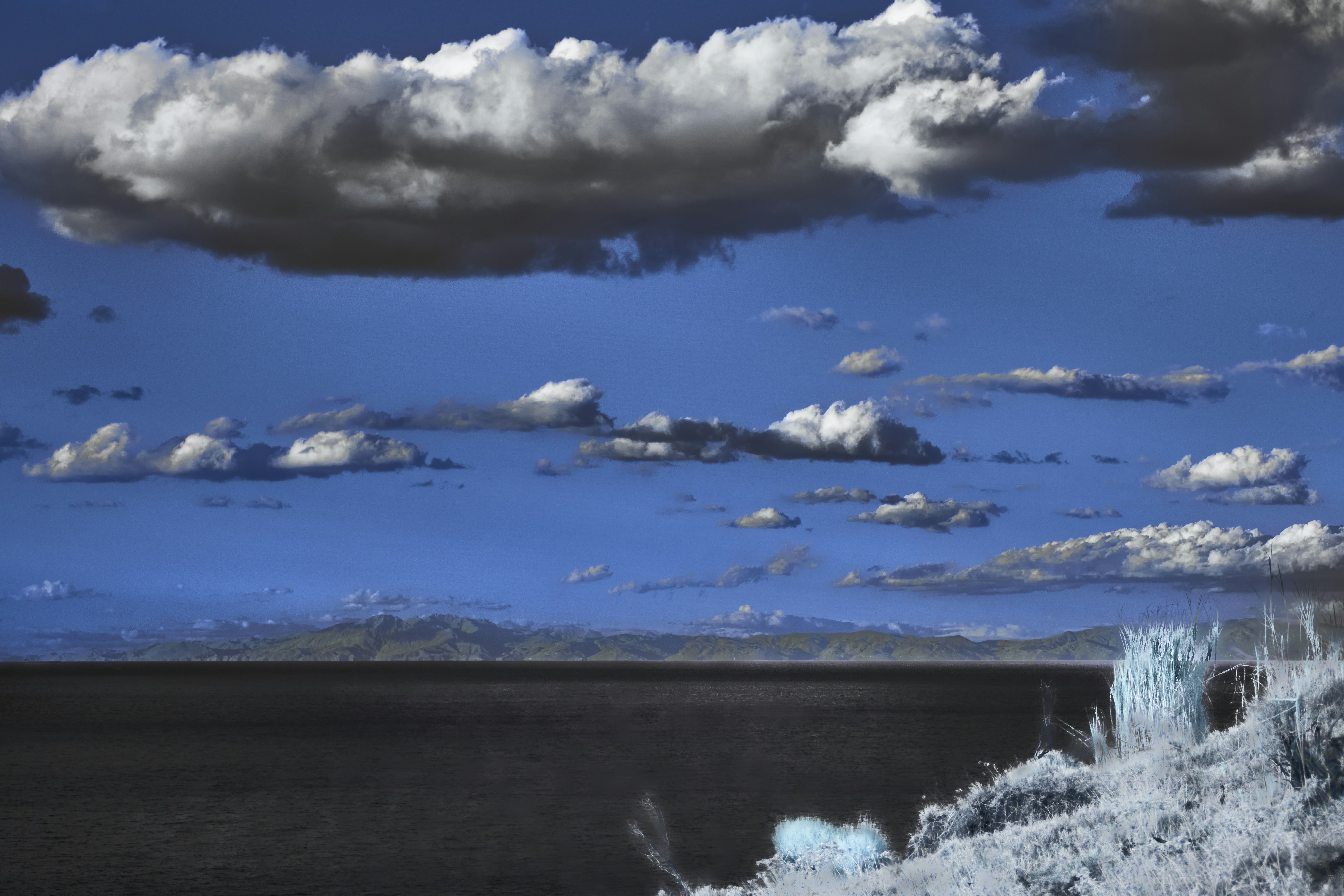 Photo by wolfgang_hasselmann