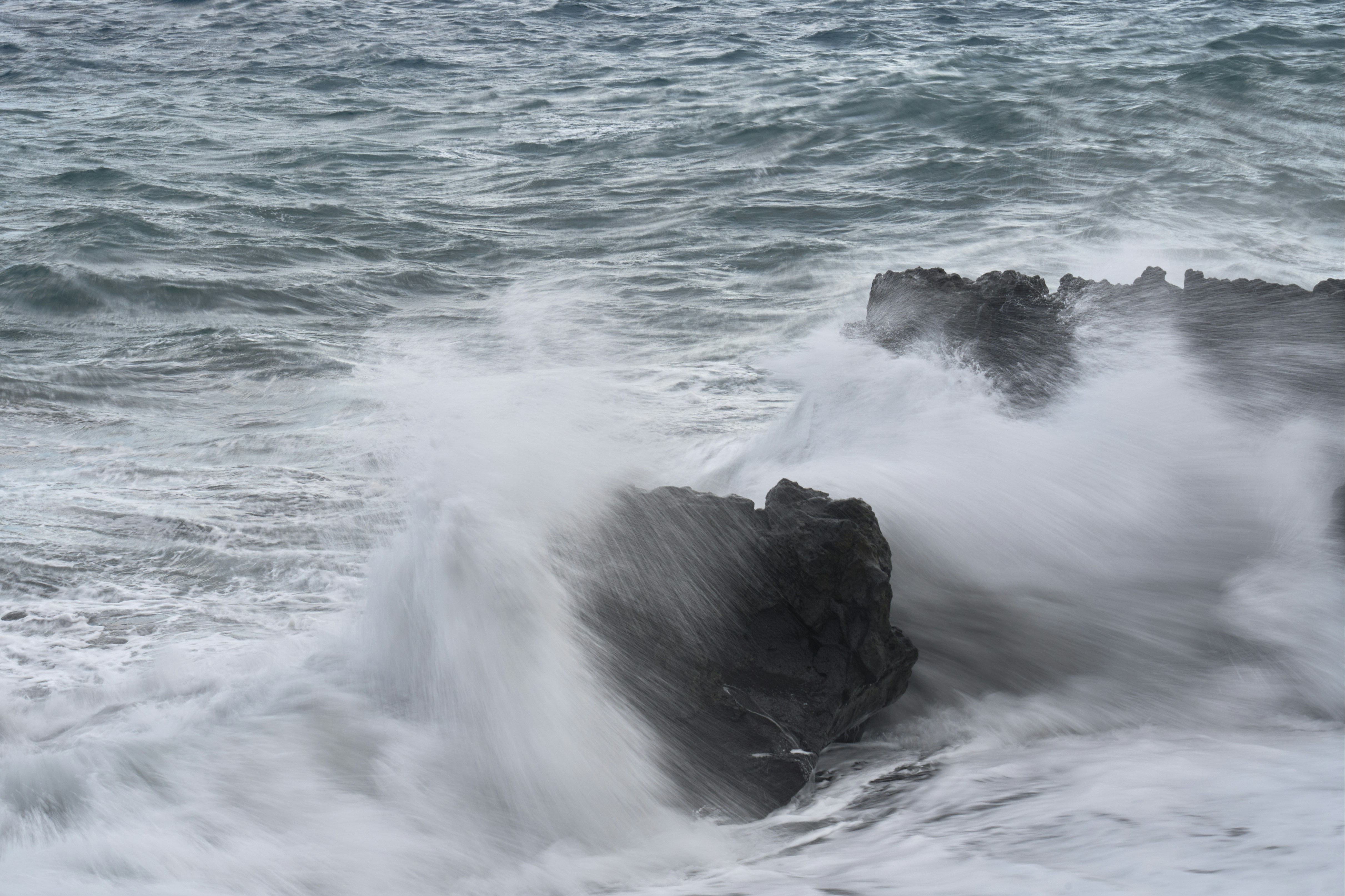 Photo by wolfgang_hasselmann