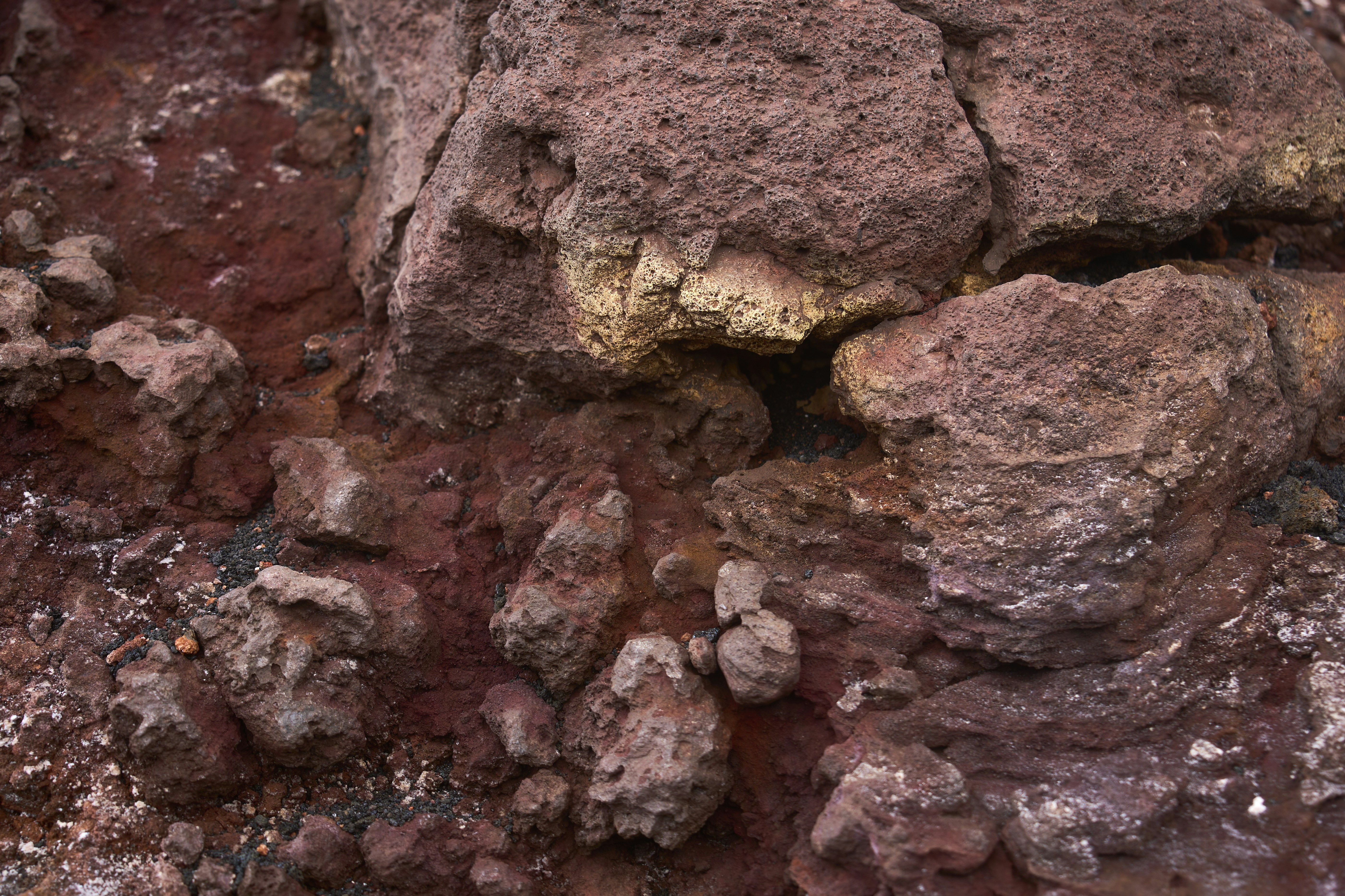 Photo by wolfgang_hasselmann