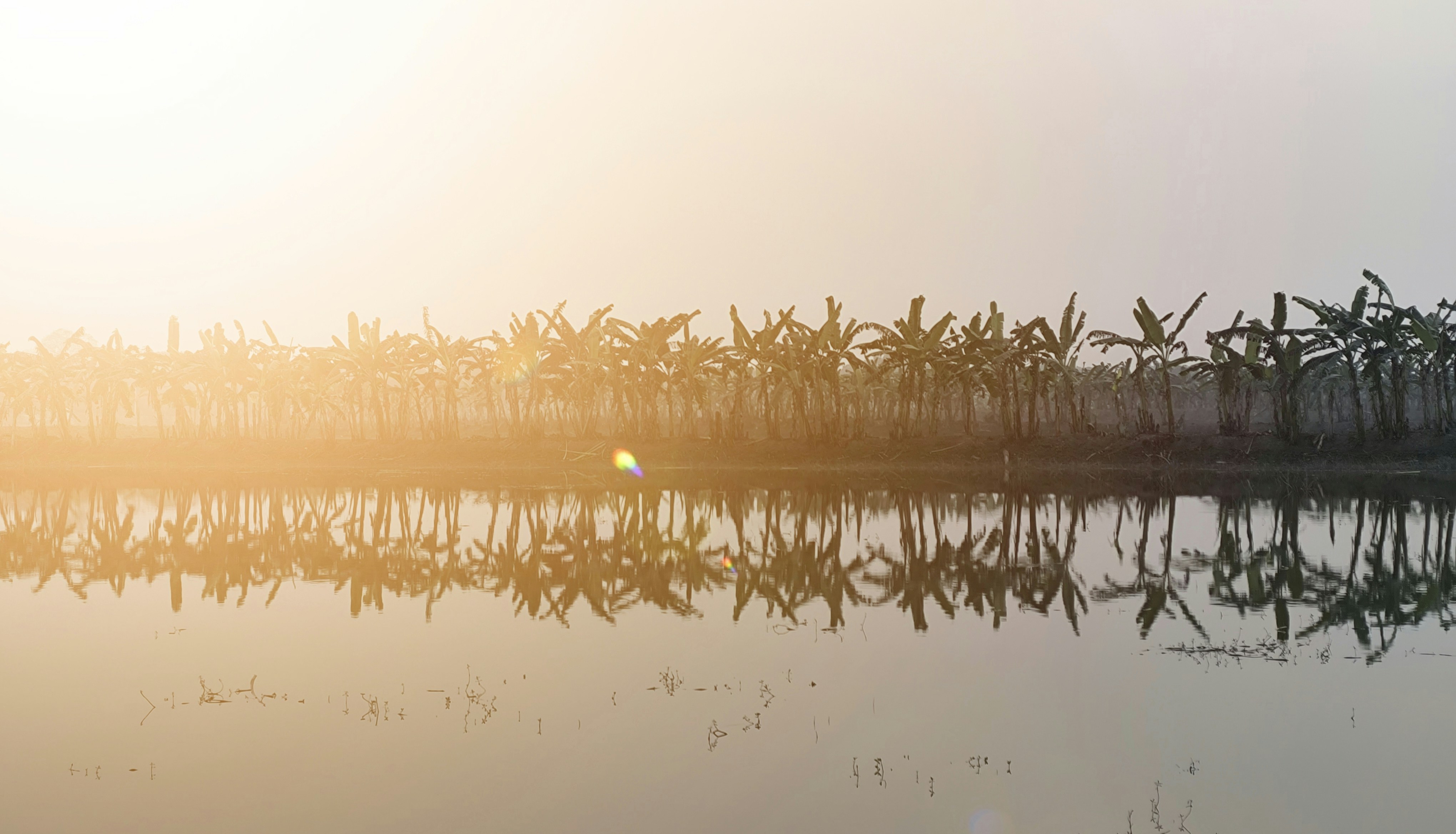 Photo by nasimuddin872