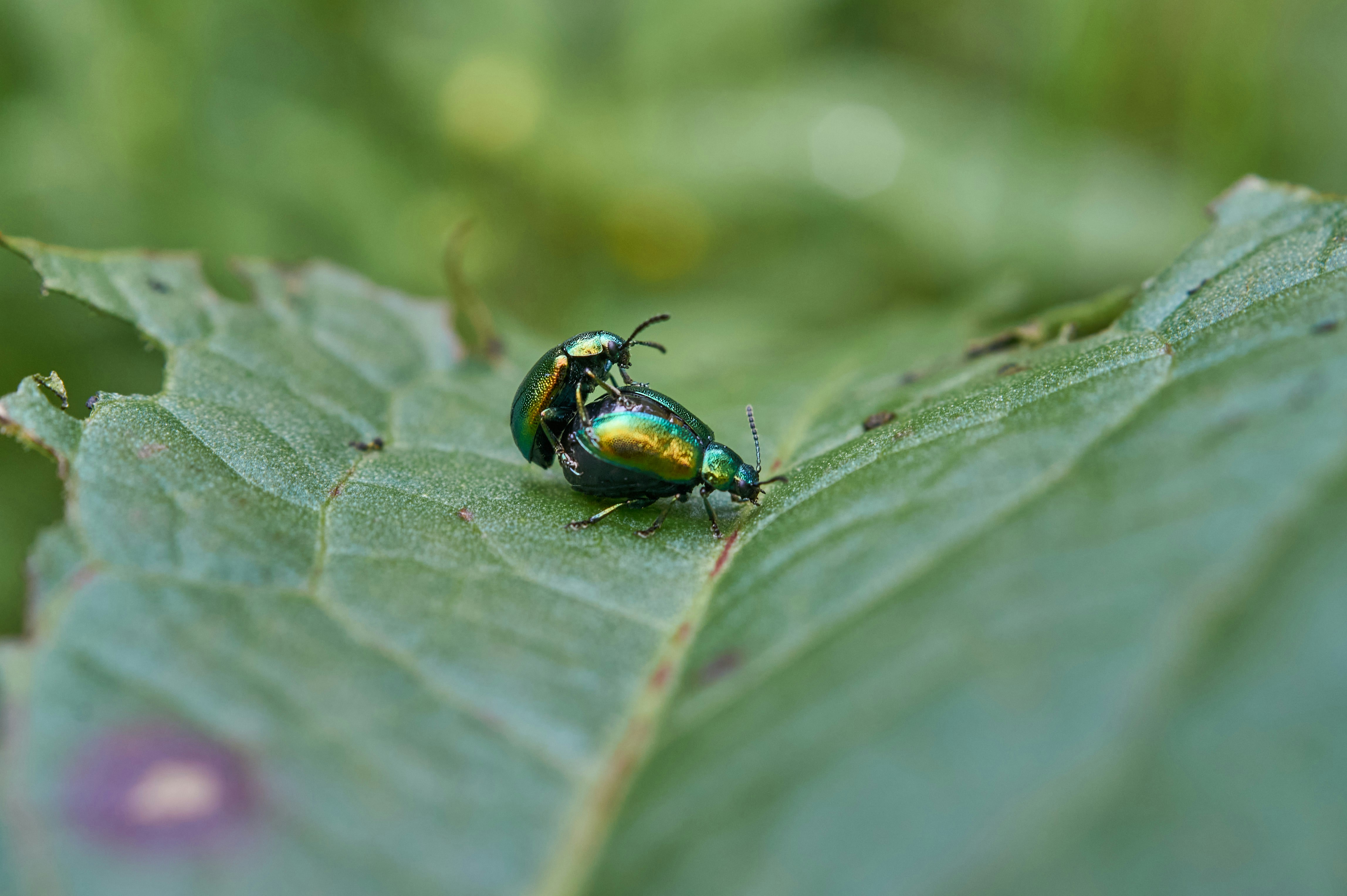 Photo by wolfgang_hasselmann