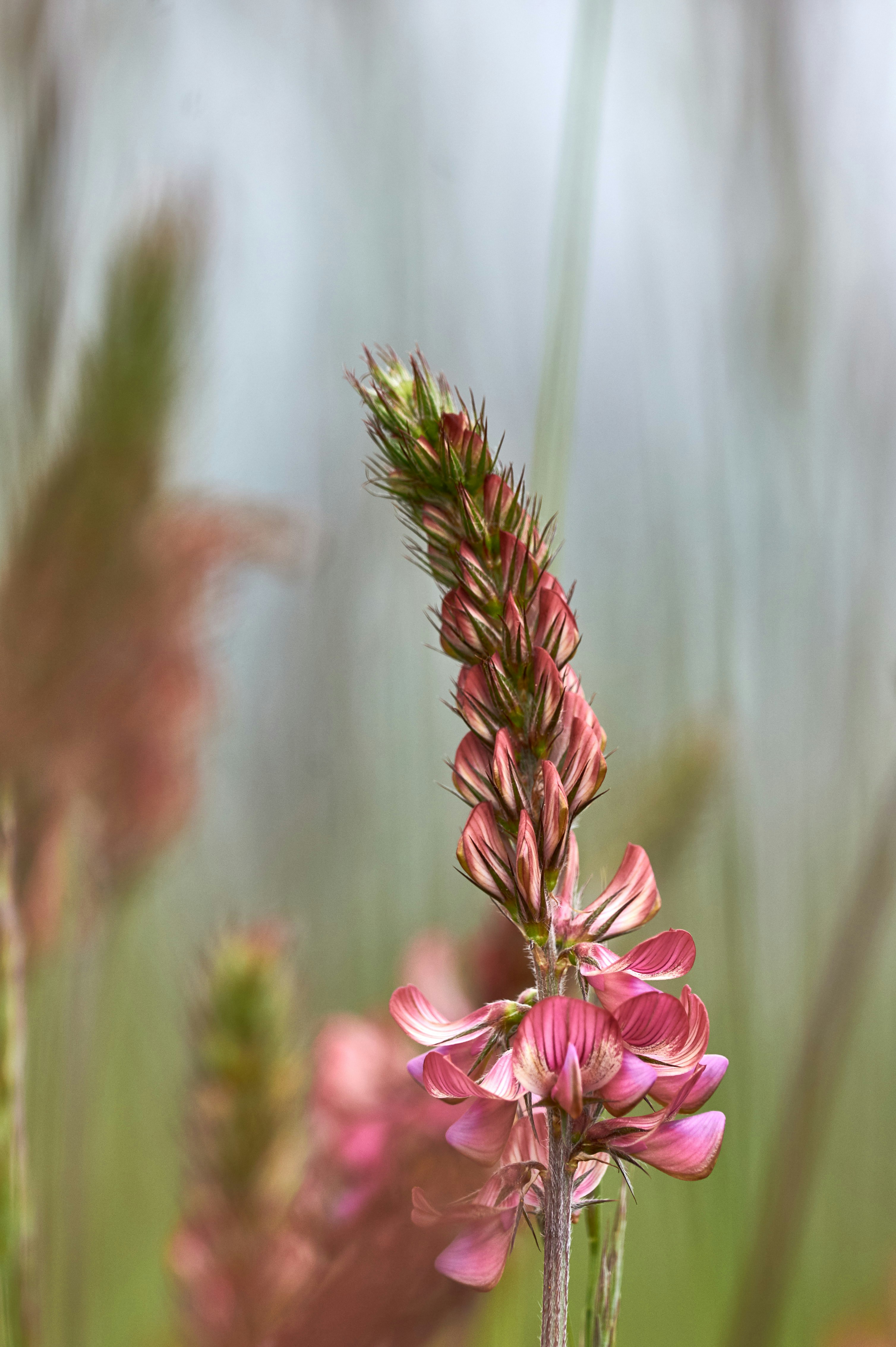 Photo by wolfgang_hasselmann