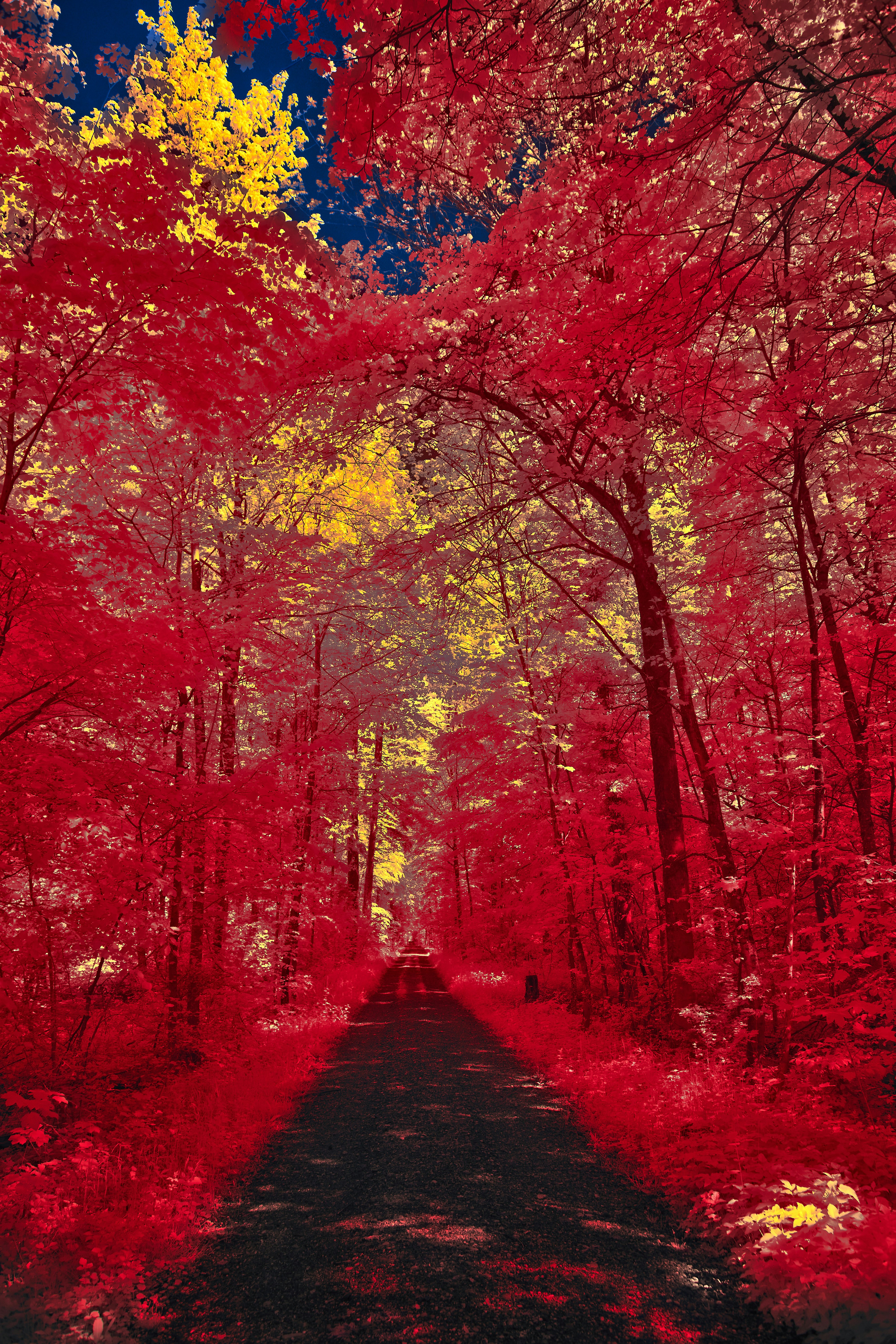 Photo by wolfgang_hasselmann