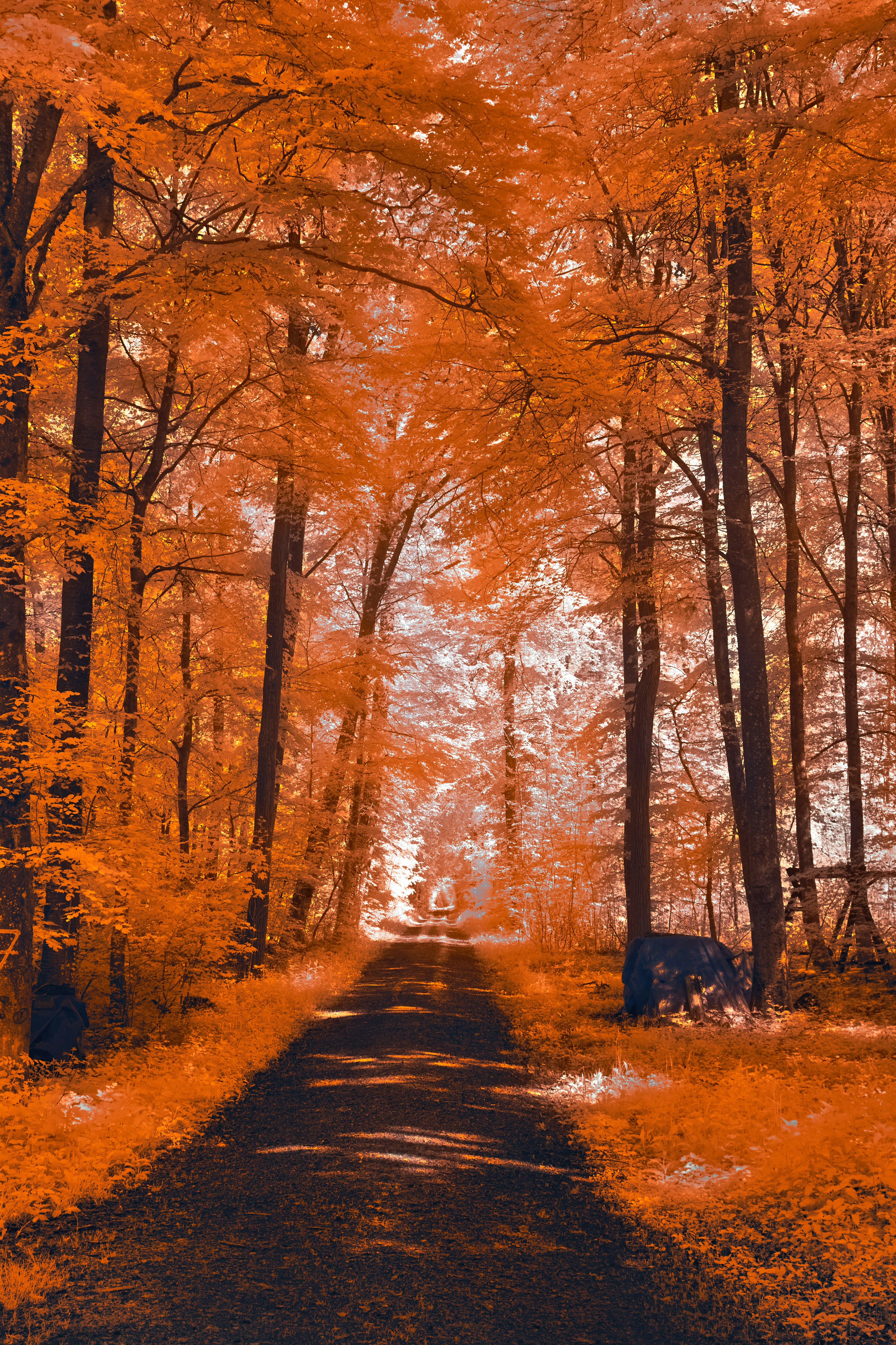 Photo by wolfgang_hasselmann