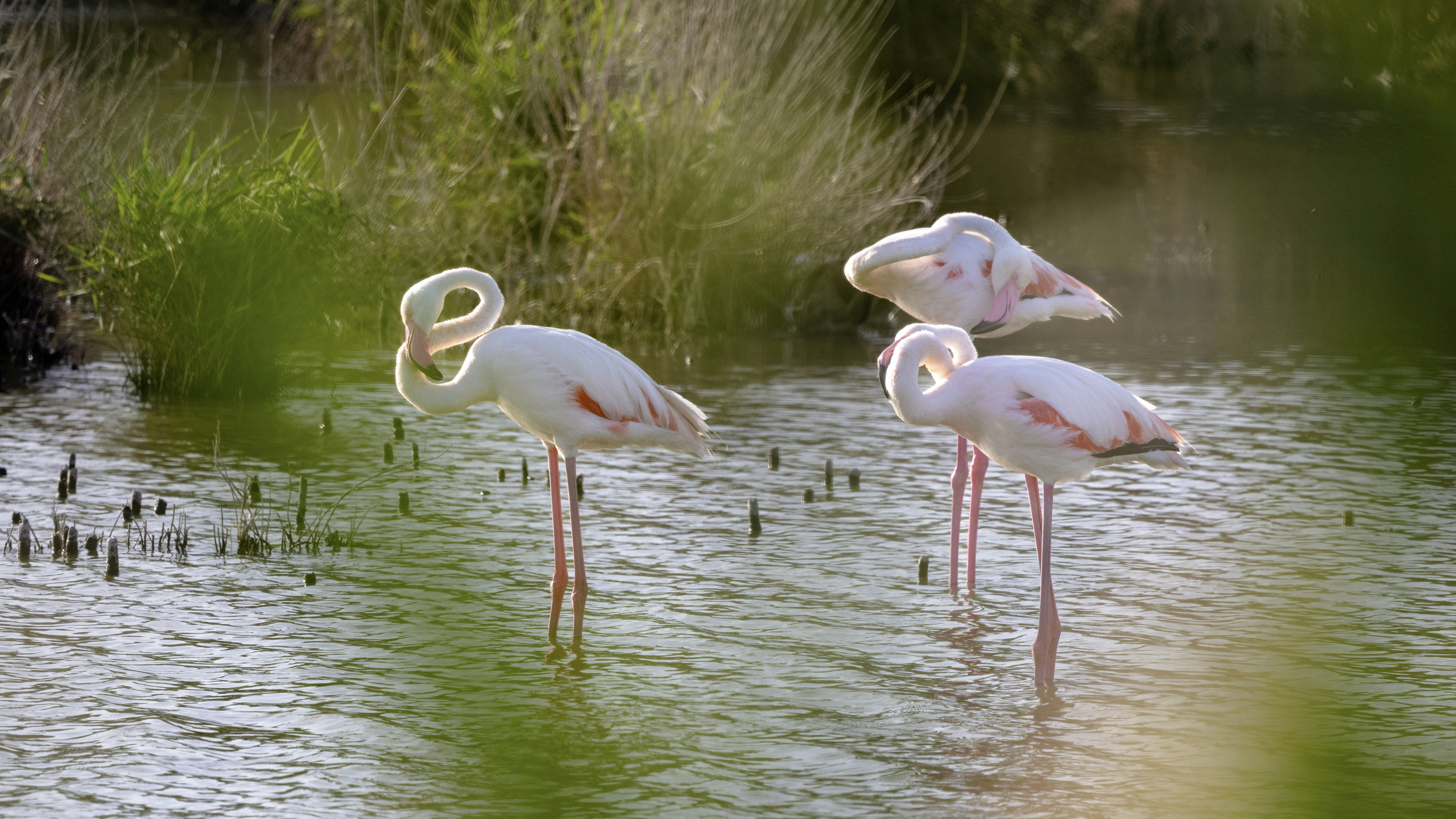 Photo by christian_dubendorfer