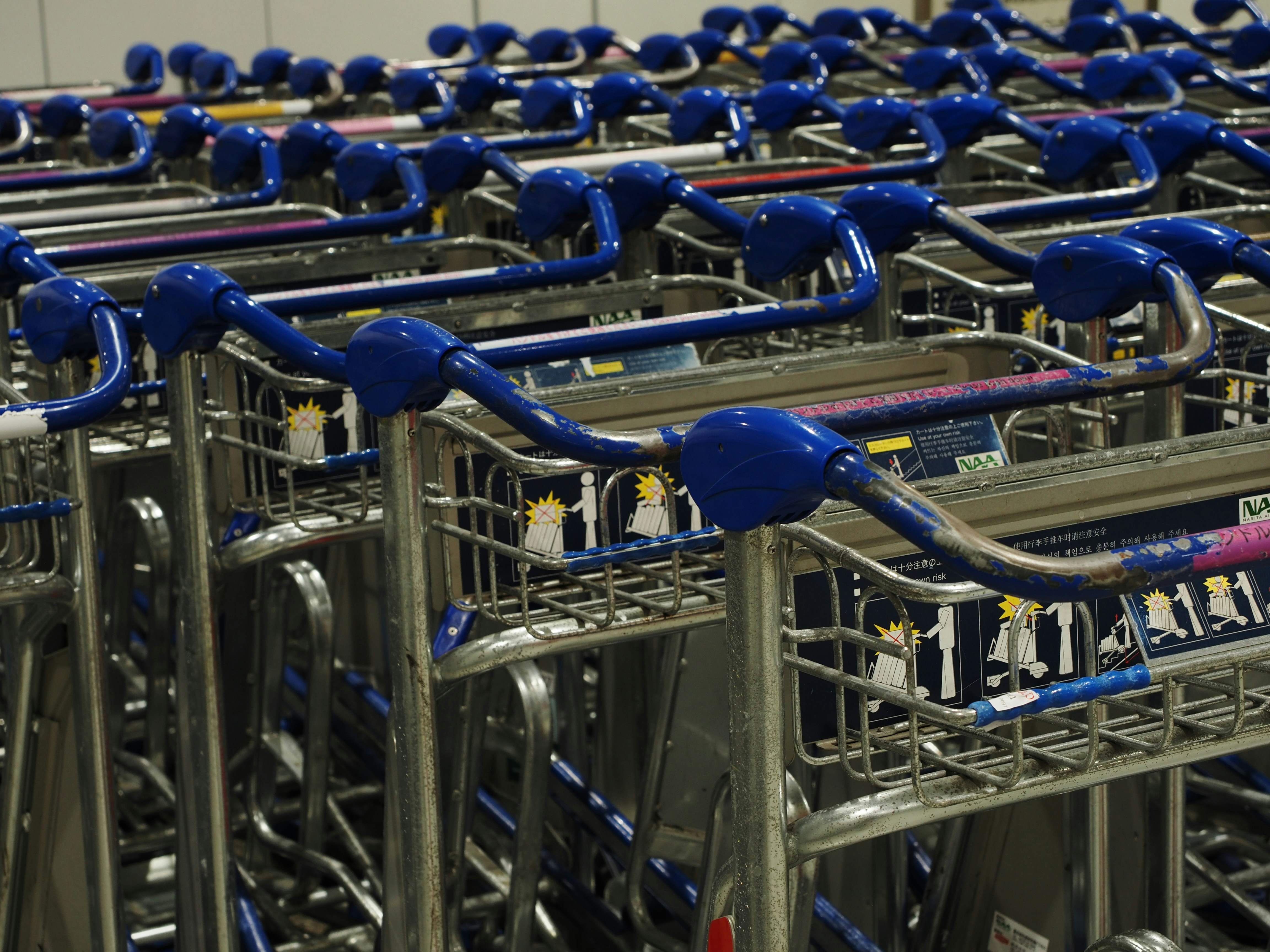 Rows of luggage carts with blue handles