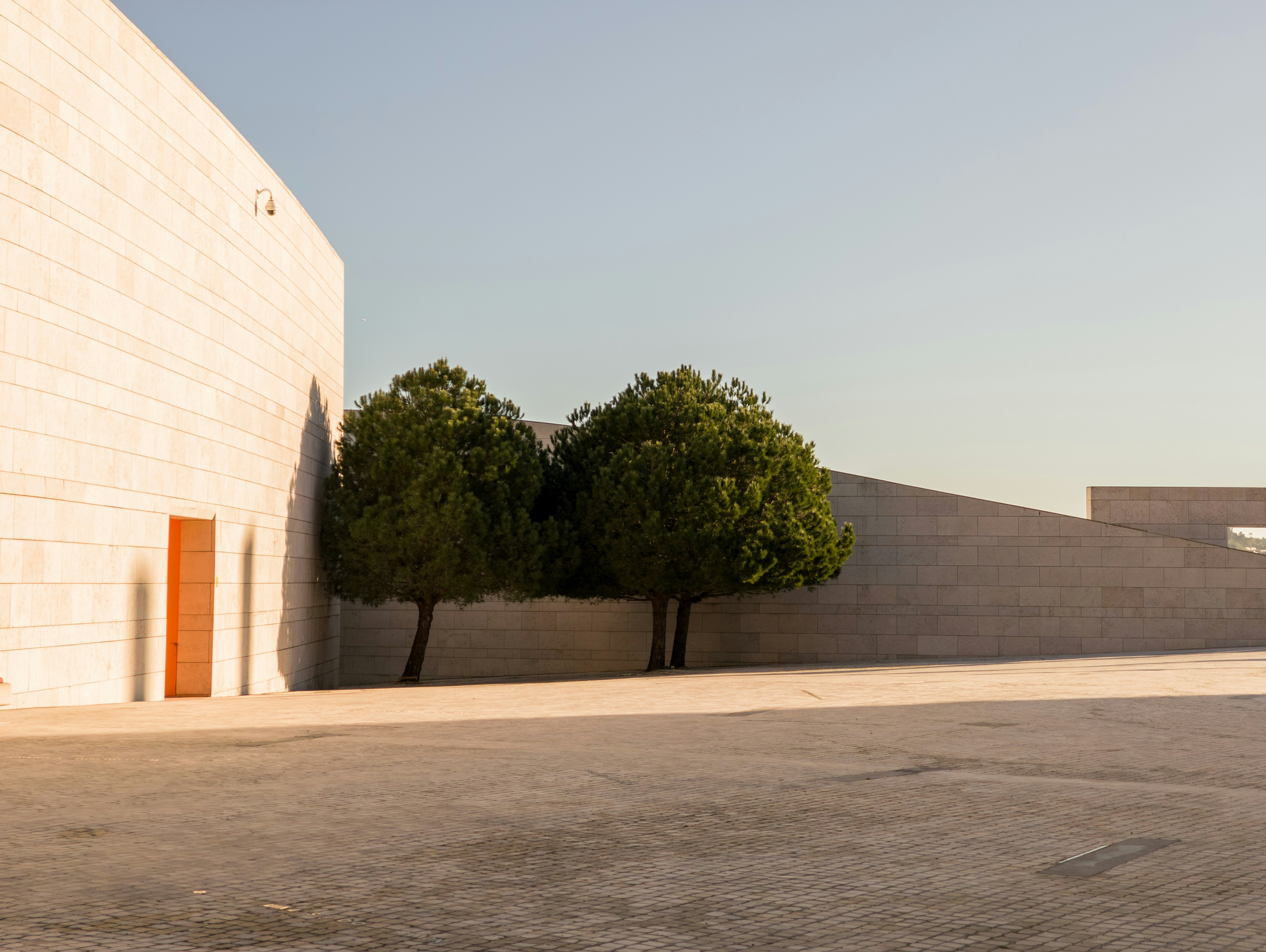 Photo by filipenobre