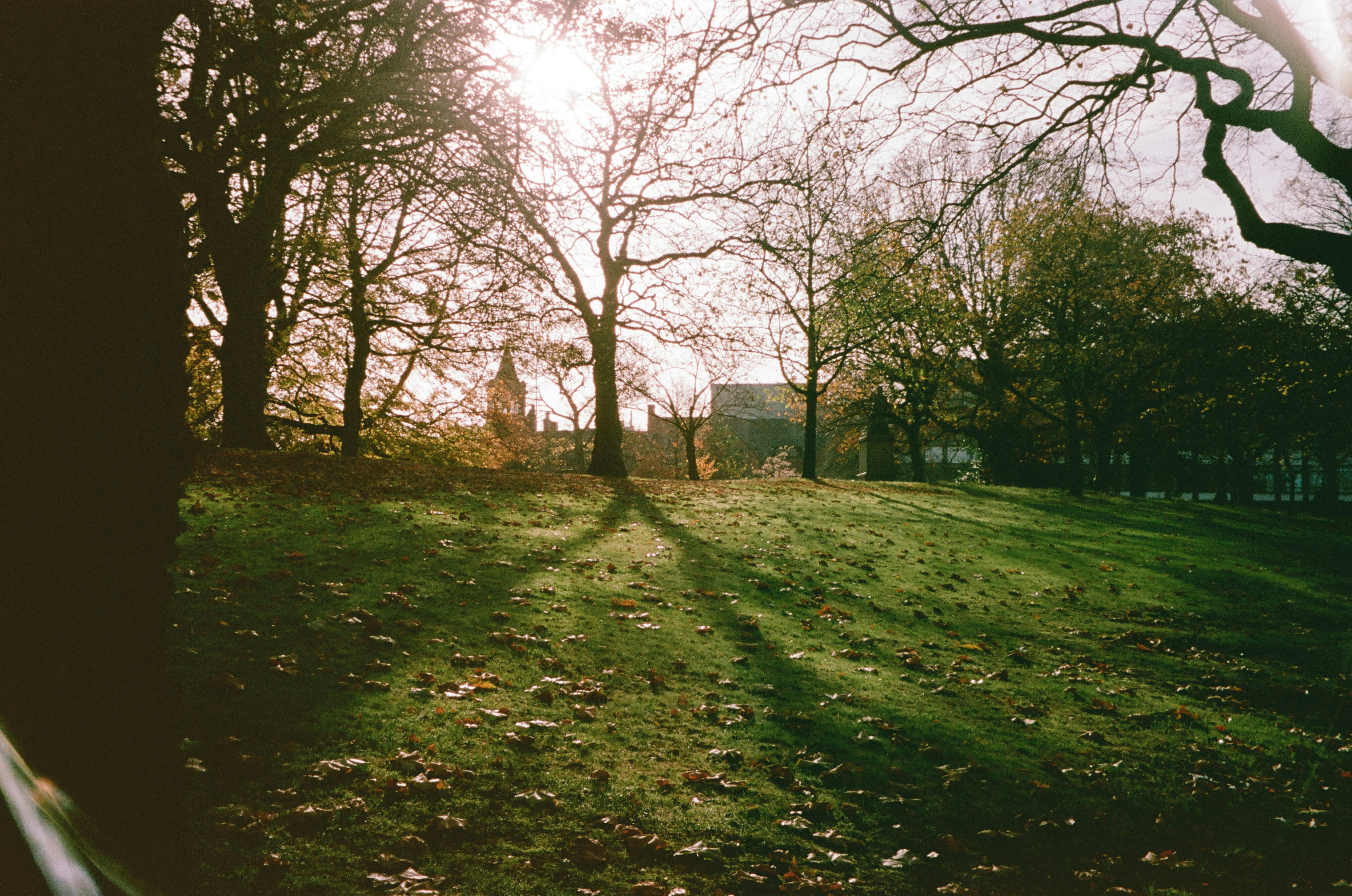 Photo by alekseixagafonov