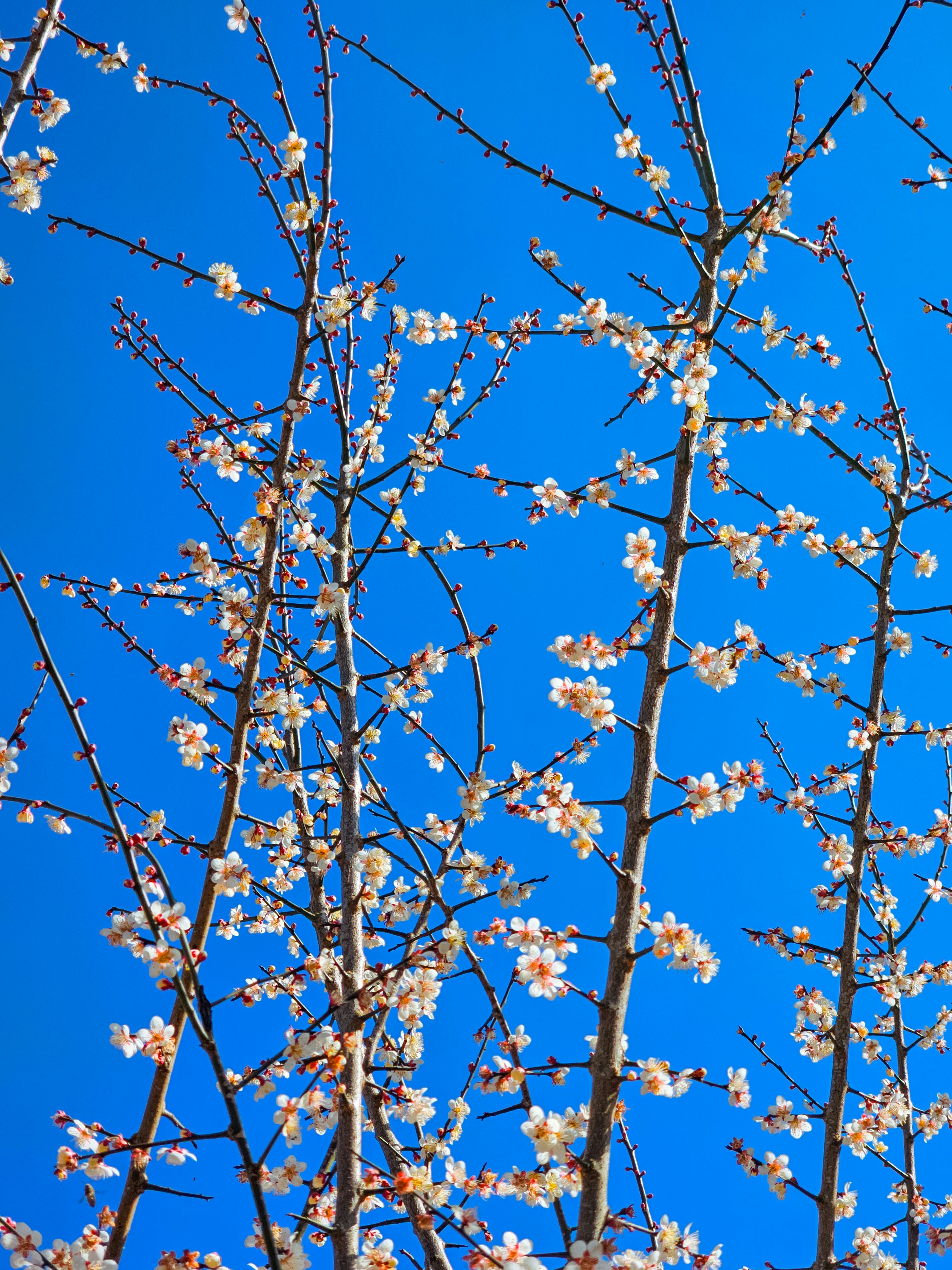 Photo by hypocriteeeee