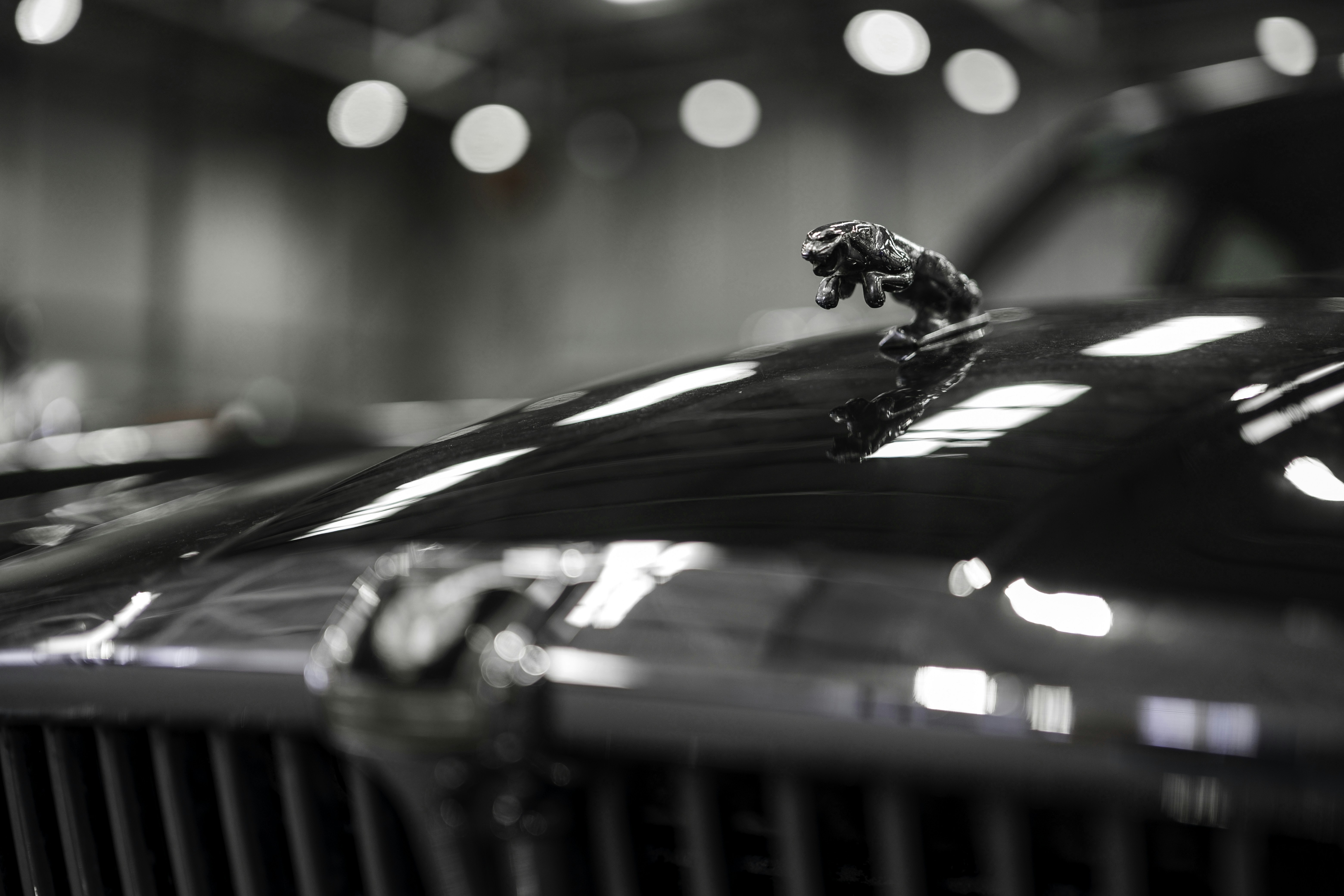 Jaguar hood ornament on a shiny black car
